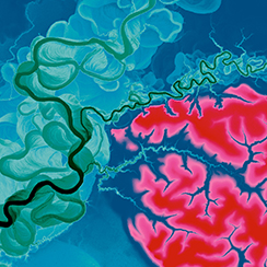 Image of the Tambopata River in eastern Peru made using scanning LiDAR