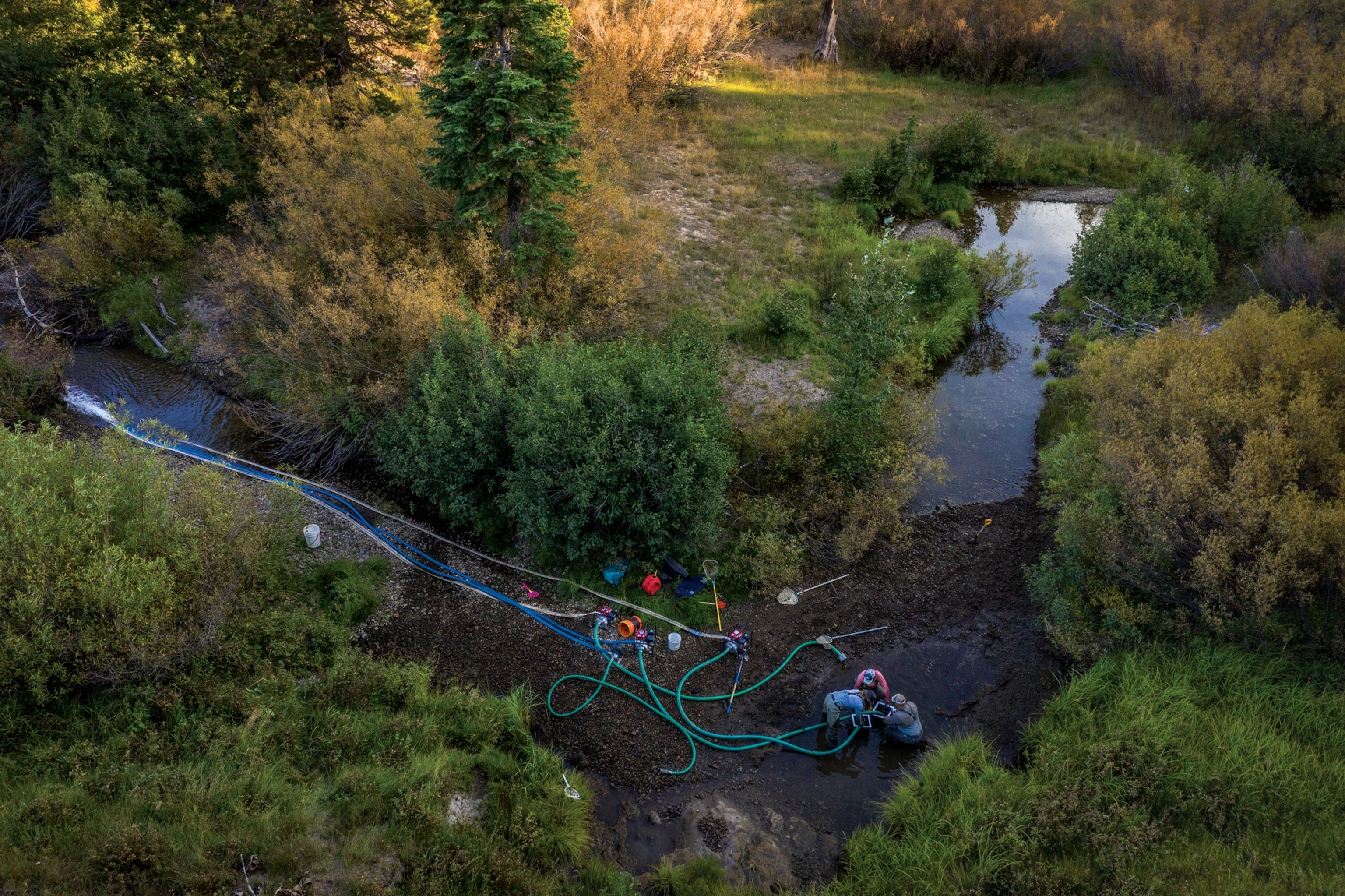 Picture of a partially drained section of Independence Creek, seen from above by drone.
