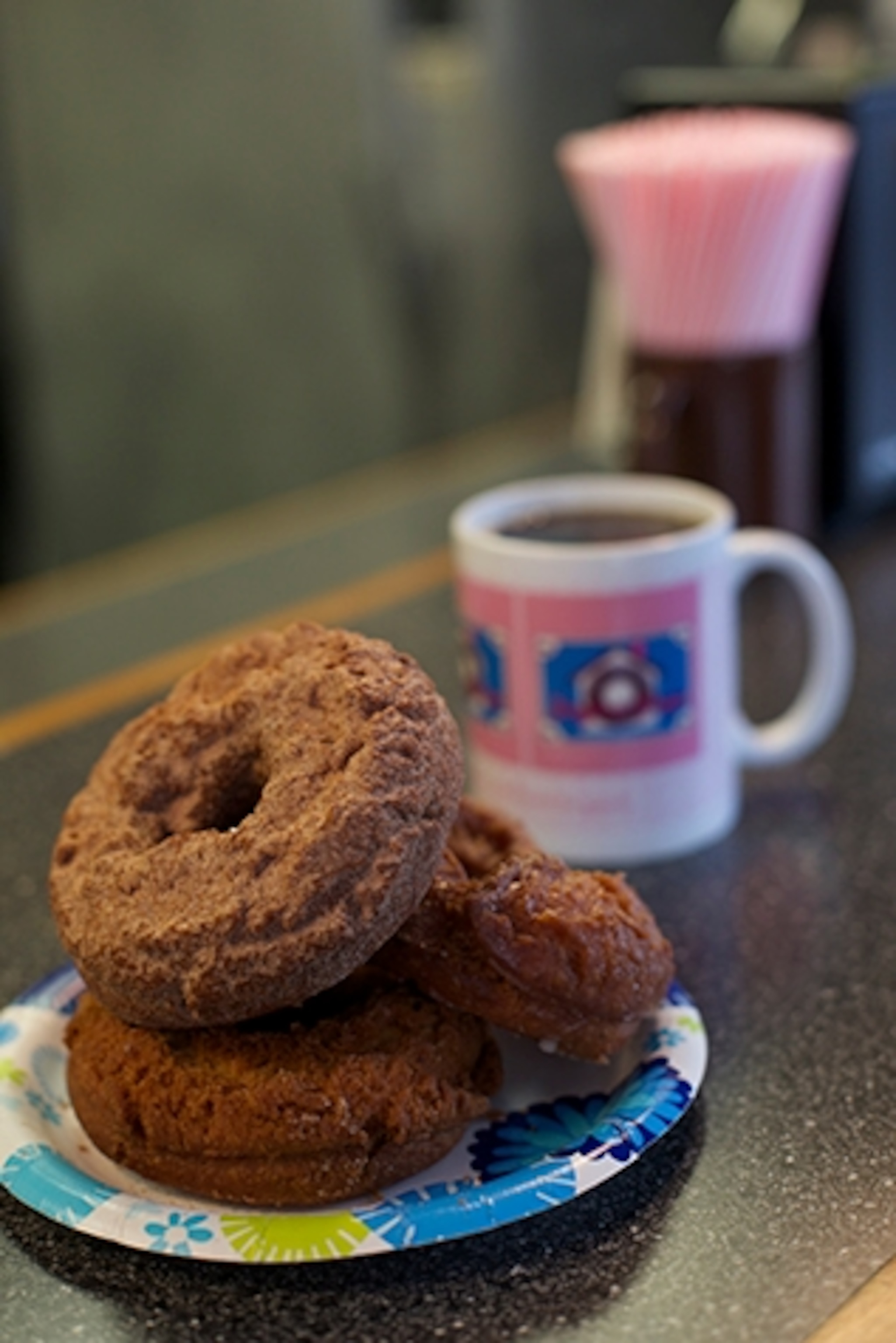 Three kinds of apple cider donuts at Home Sweet Home Doughnut Shoppe (Photograph by Jodi Hilton)