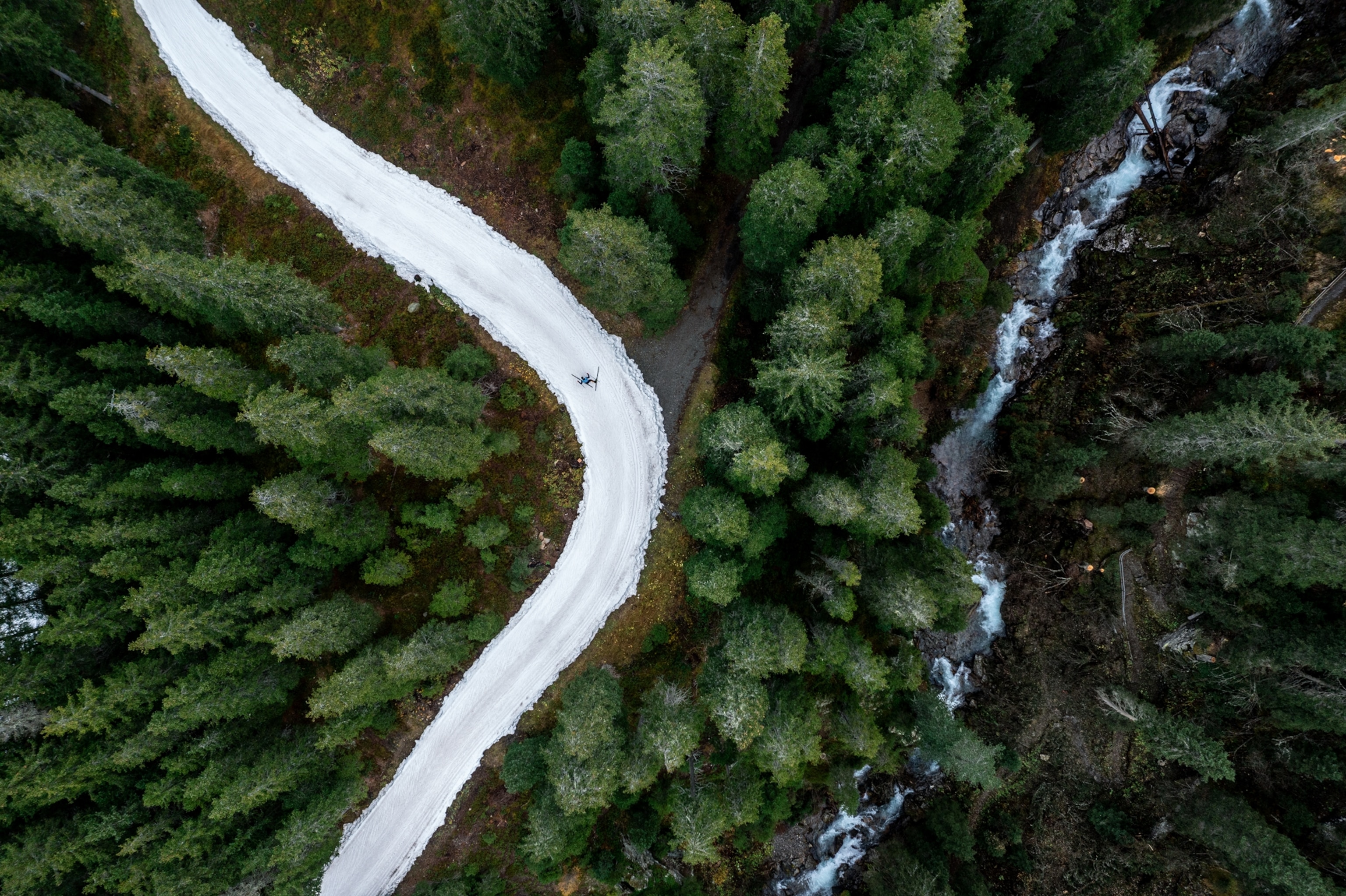 Picture of a skier on snowy trail winding under large green trees and now snow on the ground.