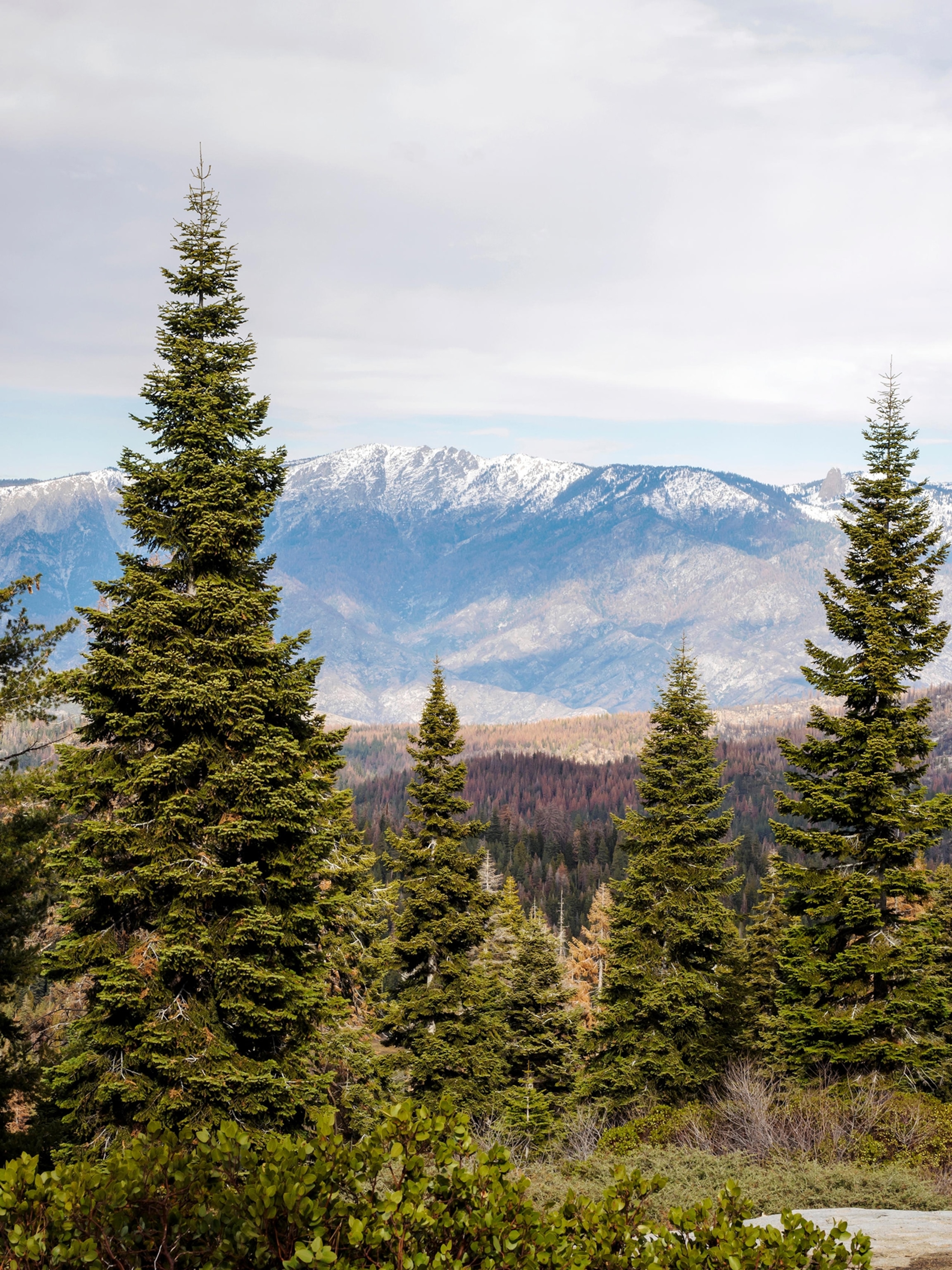View across Kings Canyon National Park to the Sierra Nevada mountains from Kings Canyon viewpoint on The Generals Highway.