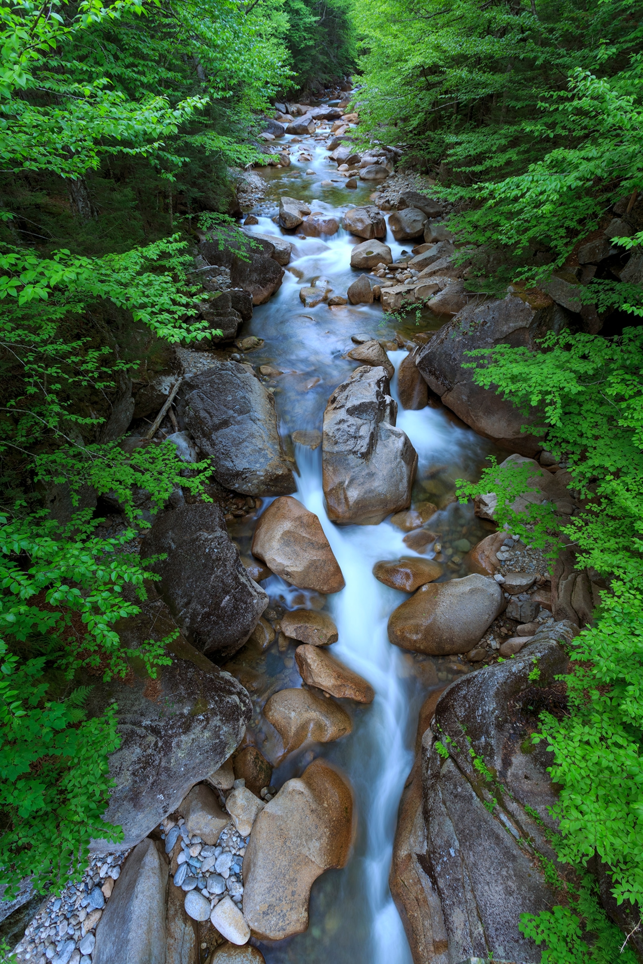the Flume Gorge in New Hampshire