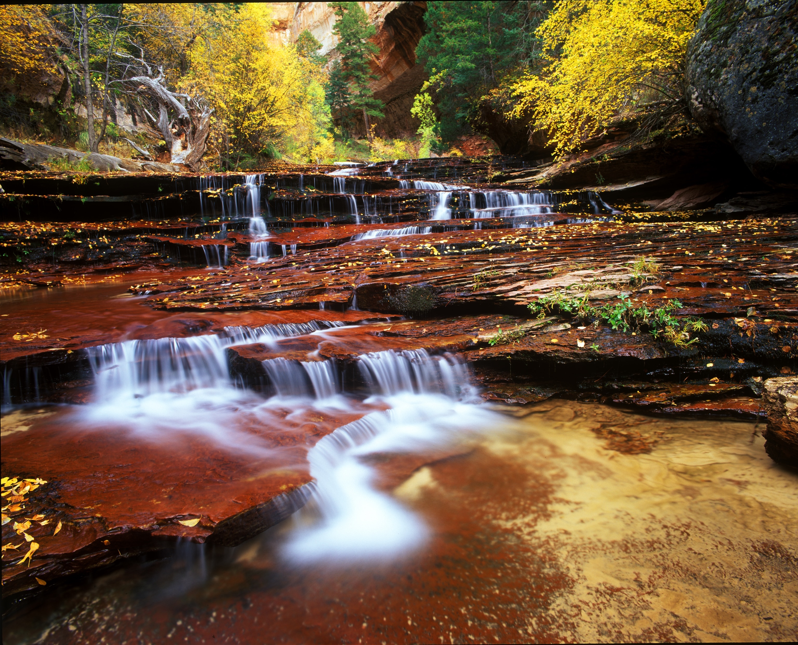 Water cascades in a tributary to the Virgin River, in a pristine autumn landscape in Zion National Park