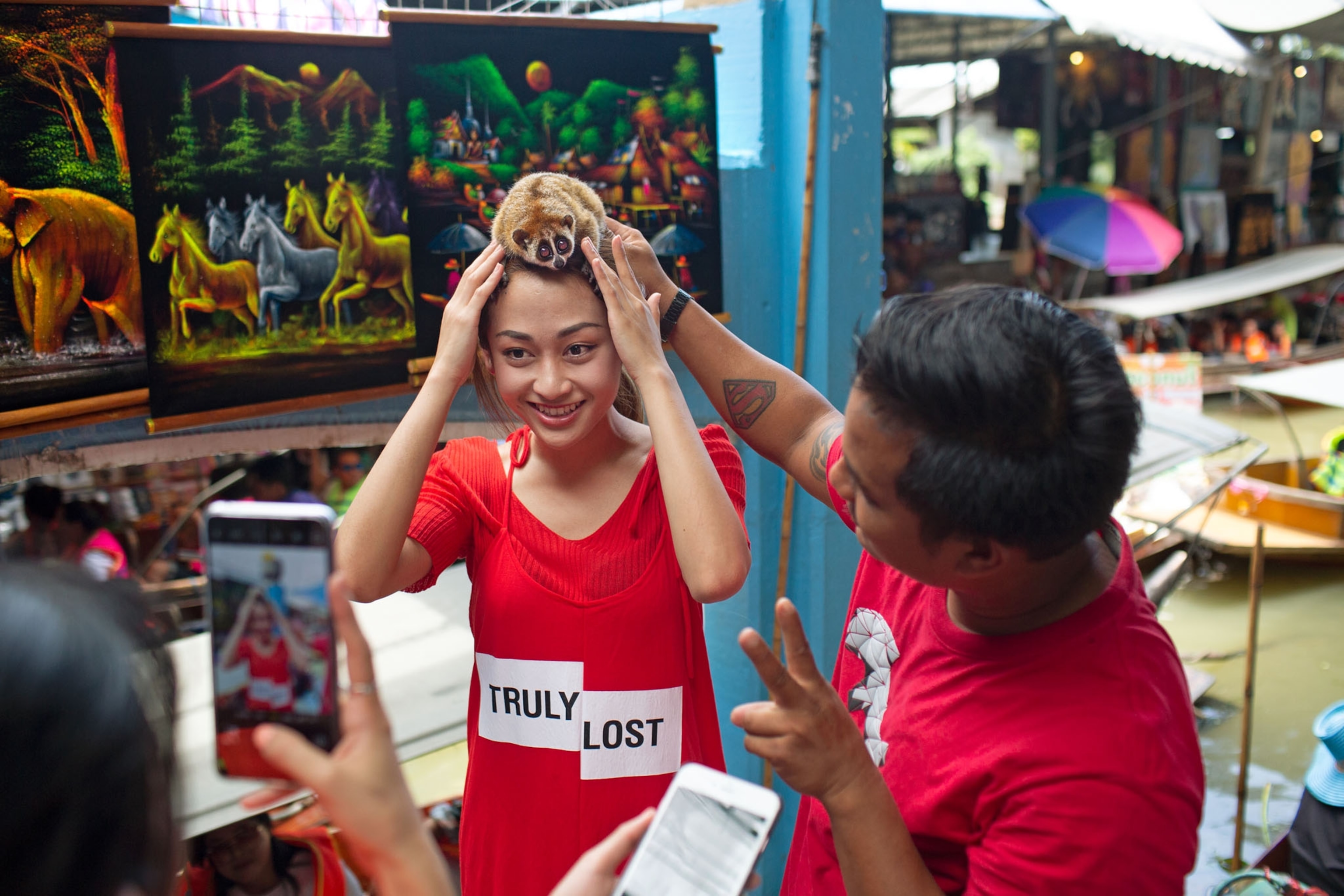people engaging with animals for tourism