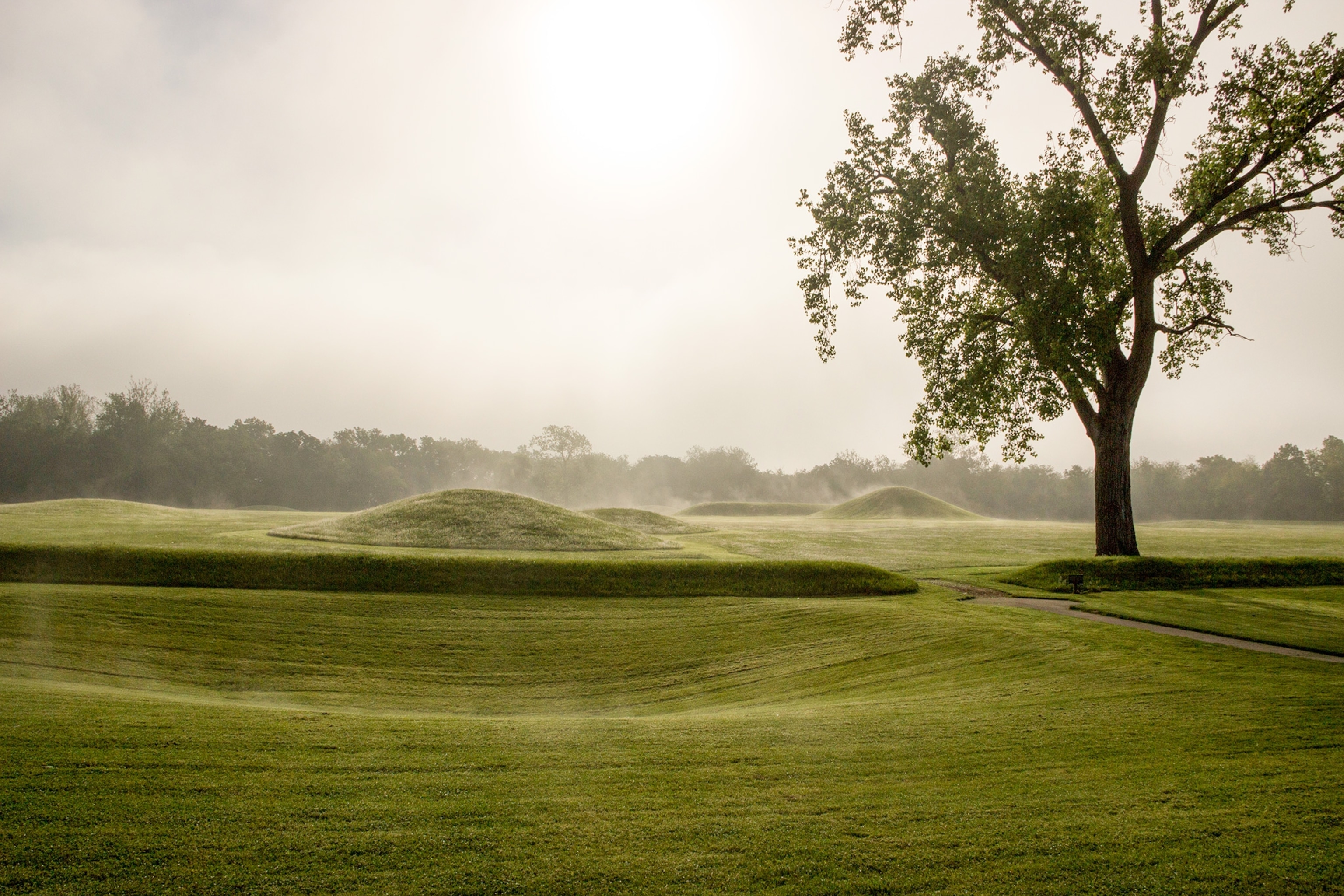 Steam fog lifts up from the mounds at Mound City Group.