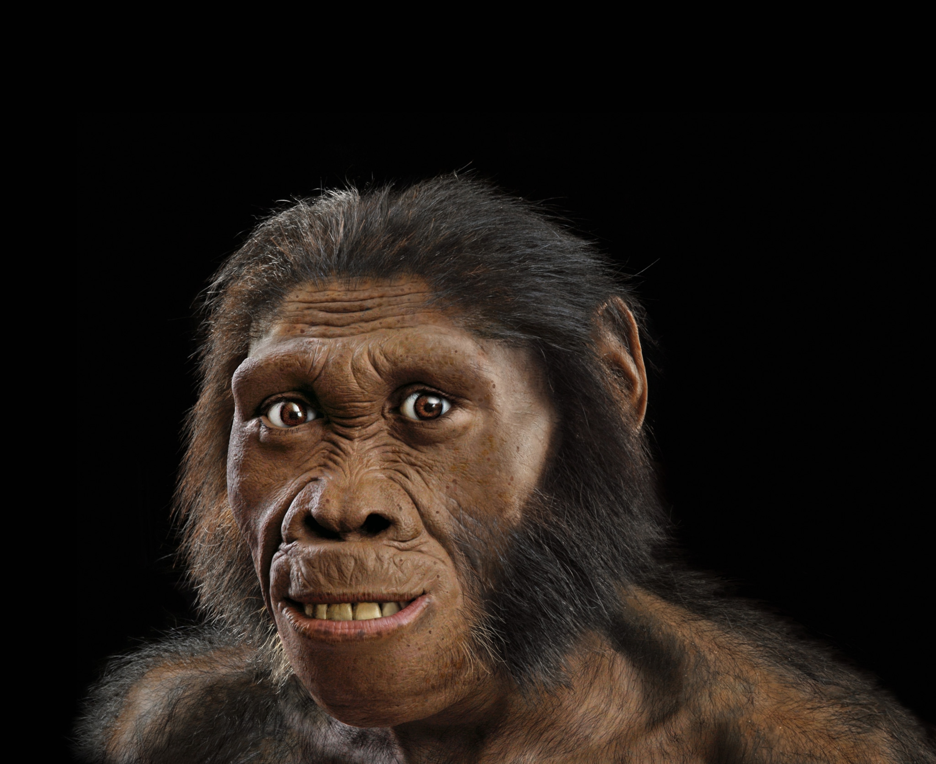 a Malapa