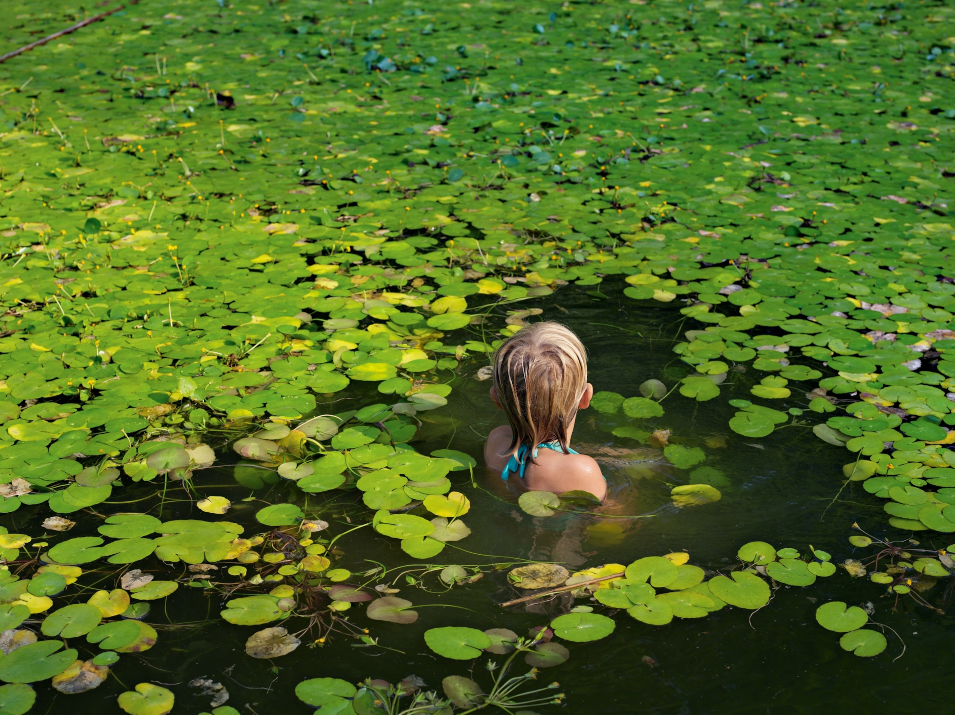 a girl swimming among lily pads in North Carolina