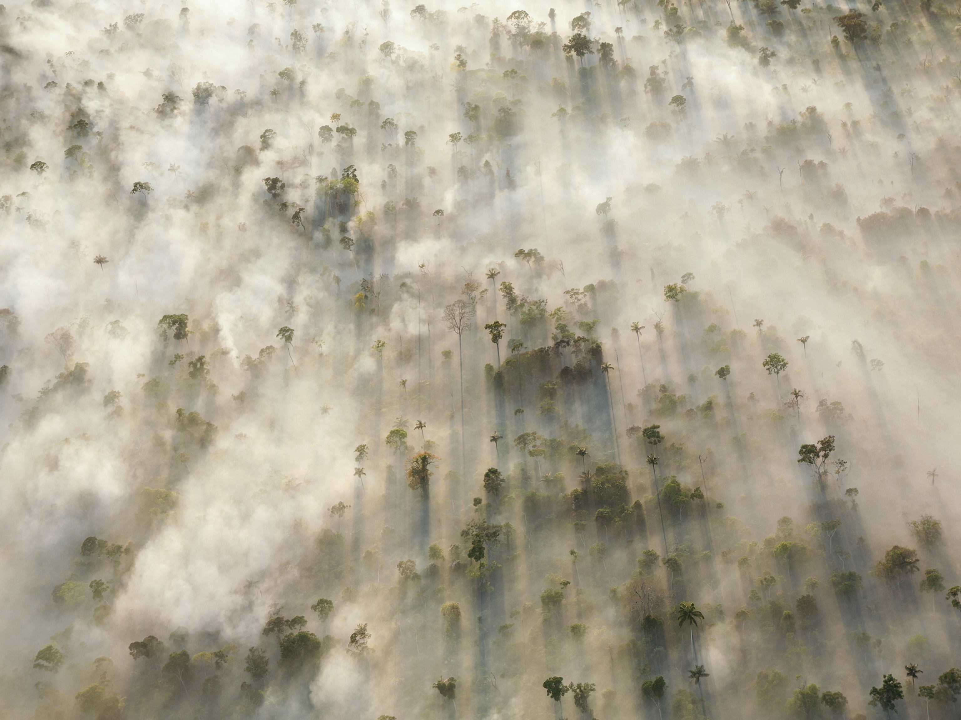 smoke from burning trees obscuring the Amazon rain forest in Mato Grosso, Brazil