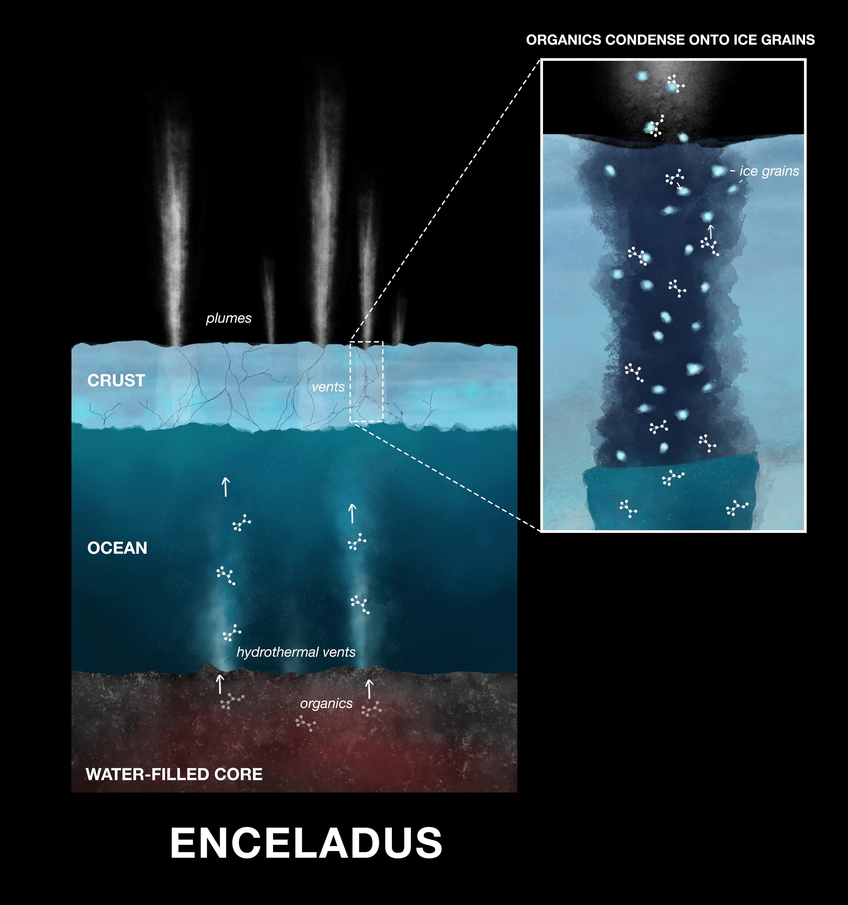 An illustration showing the process of organic compounds making their way onto ice grains emitted in plumes from Saturn's moon Enceladus