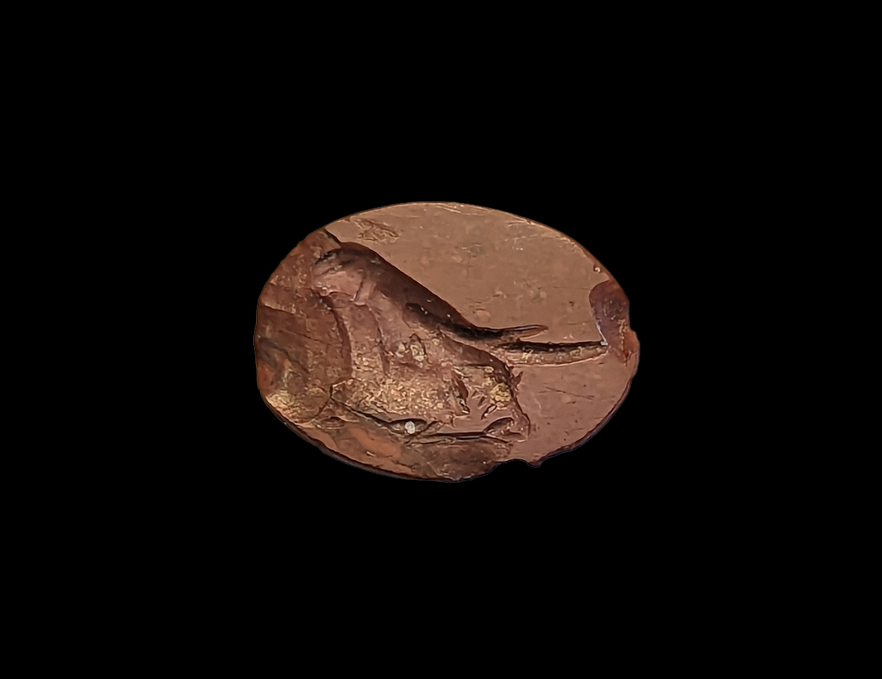 A parrot (Indian ring-necked parakeet) in profile to the left. The Indian bird evokes Bacchus’s Indian triumph. Red Jasper. The upper surface badly chipped but here is a high polish on what remains.