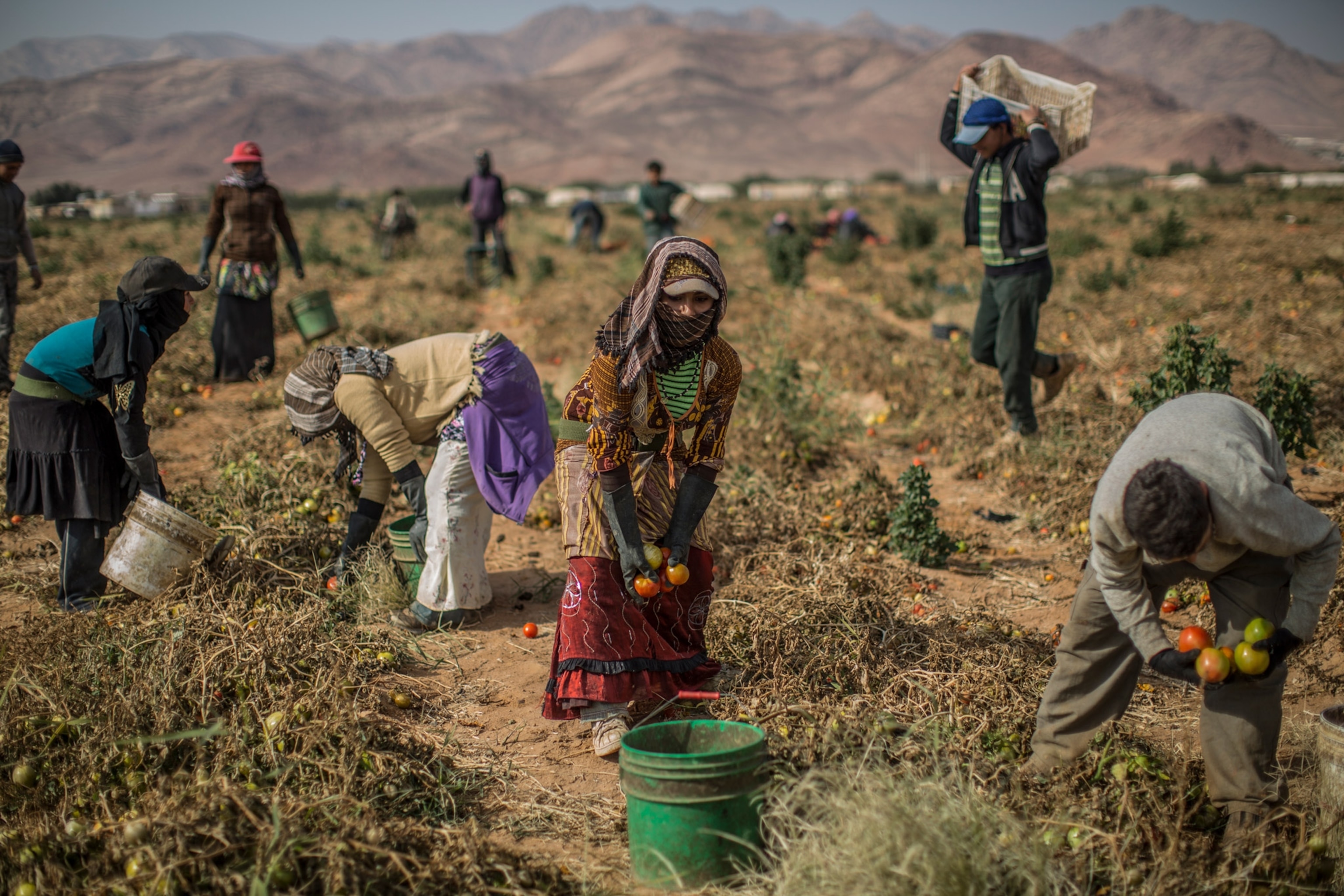 Photo of young girl working on farm