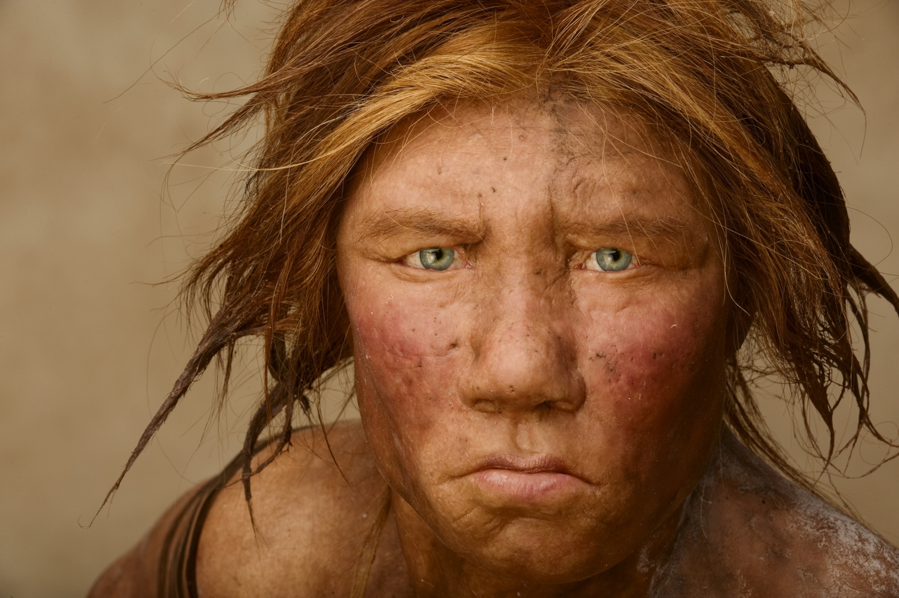 A reconstruction of a Neanderthal female