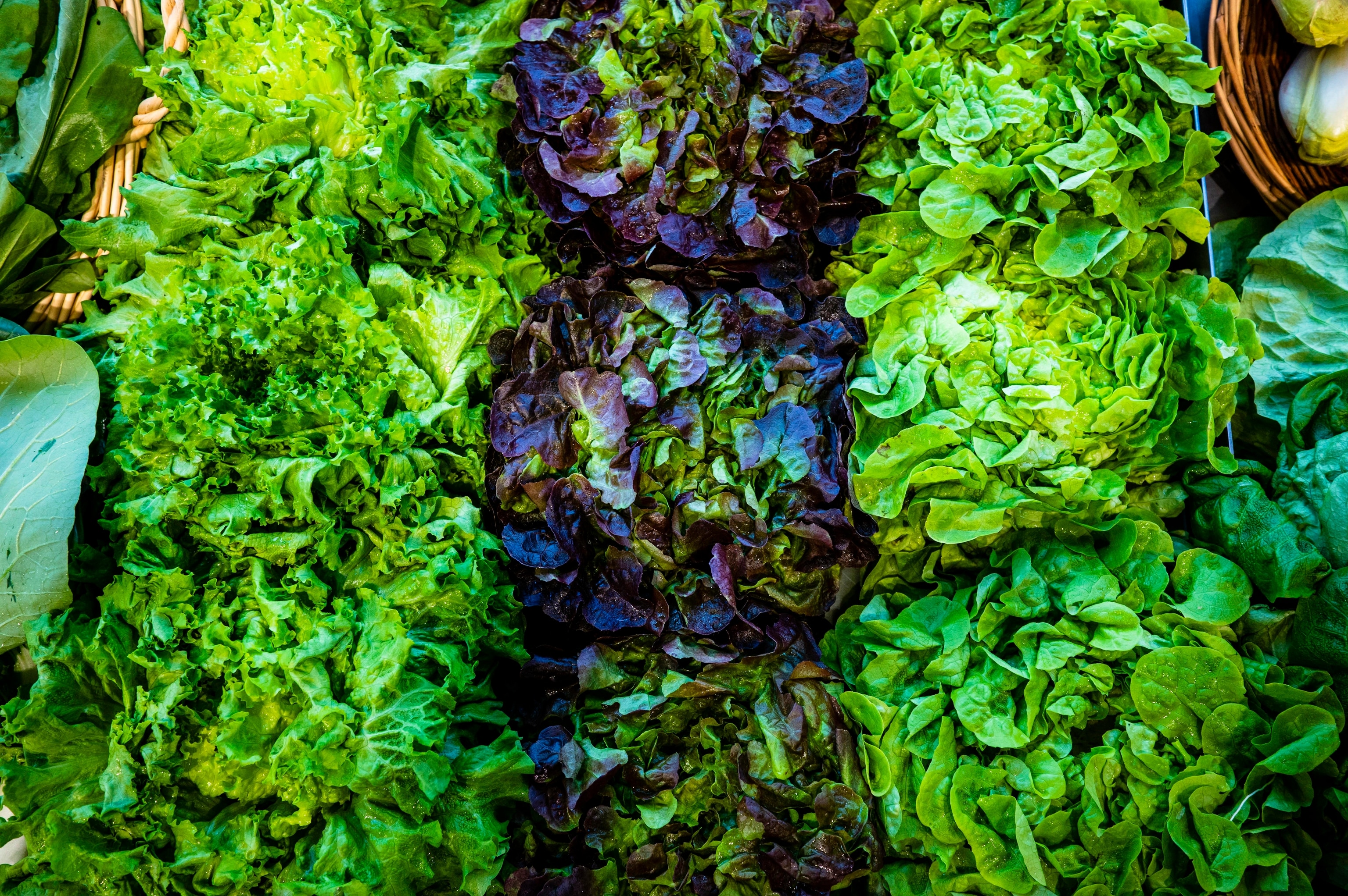 leafy greens in a store