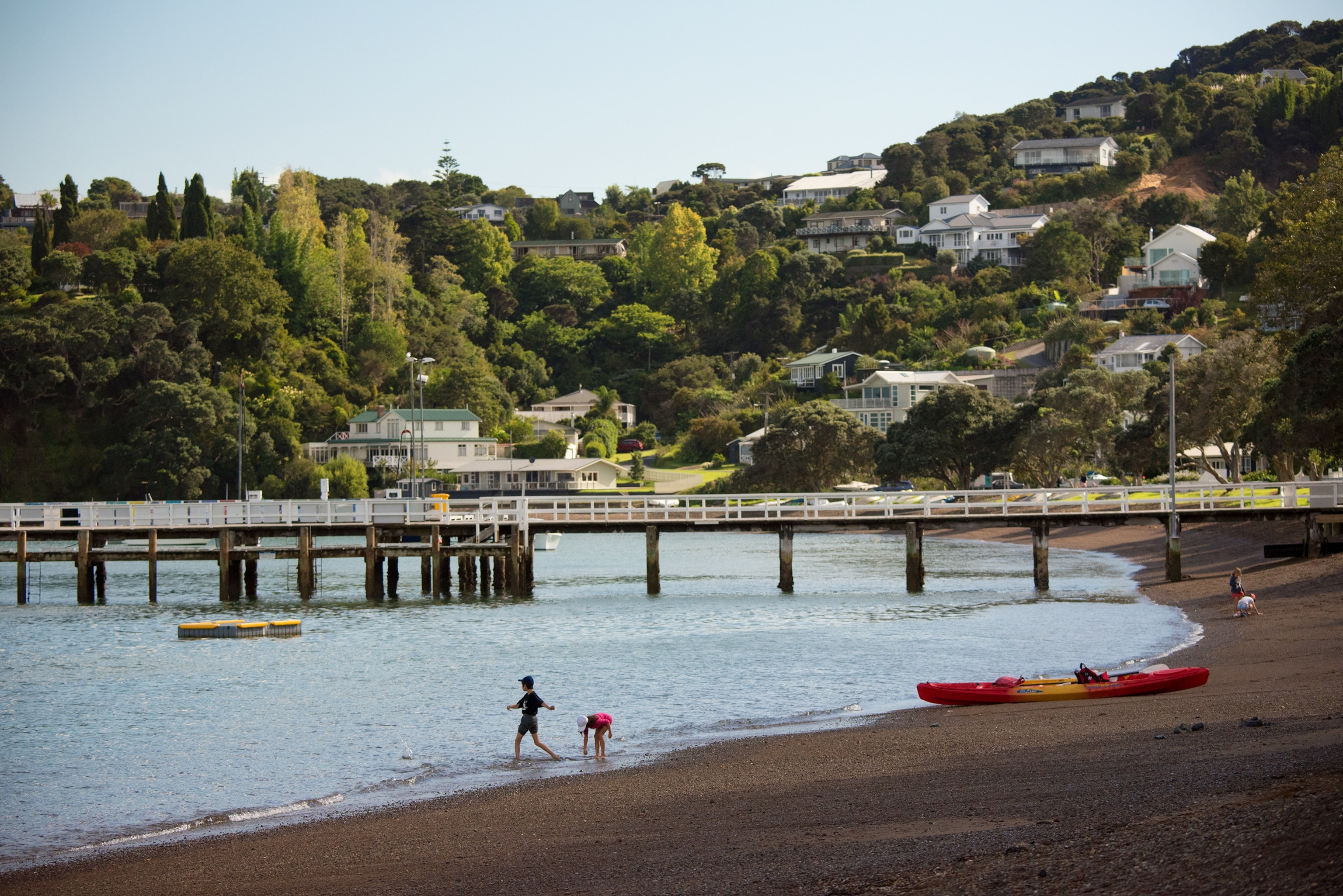children playing at the beach in Russell, New Zealand