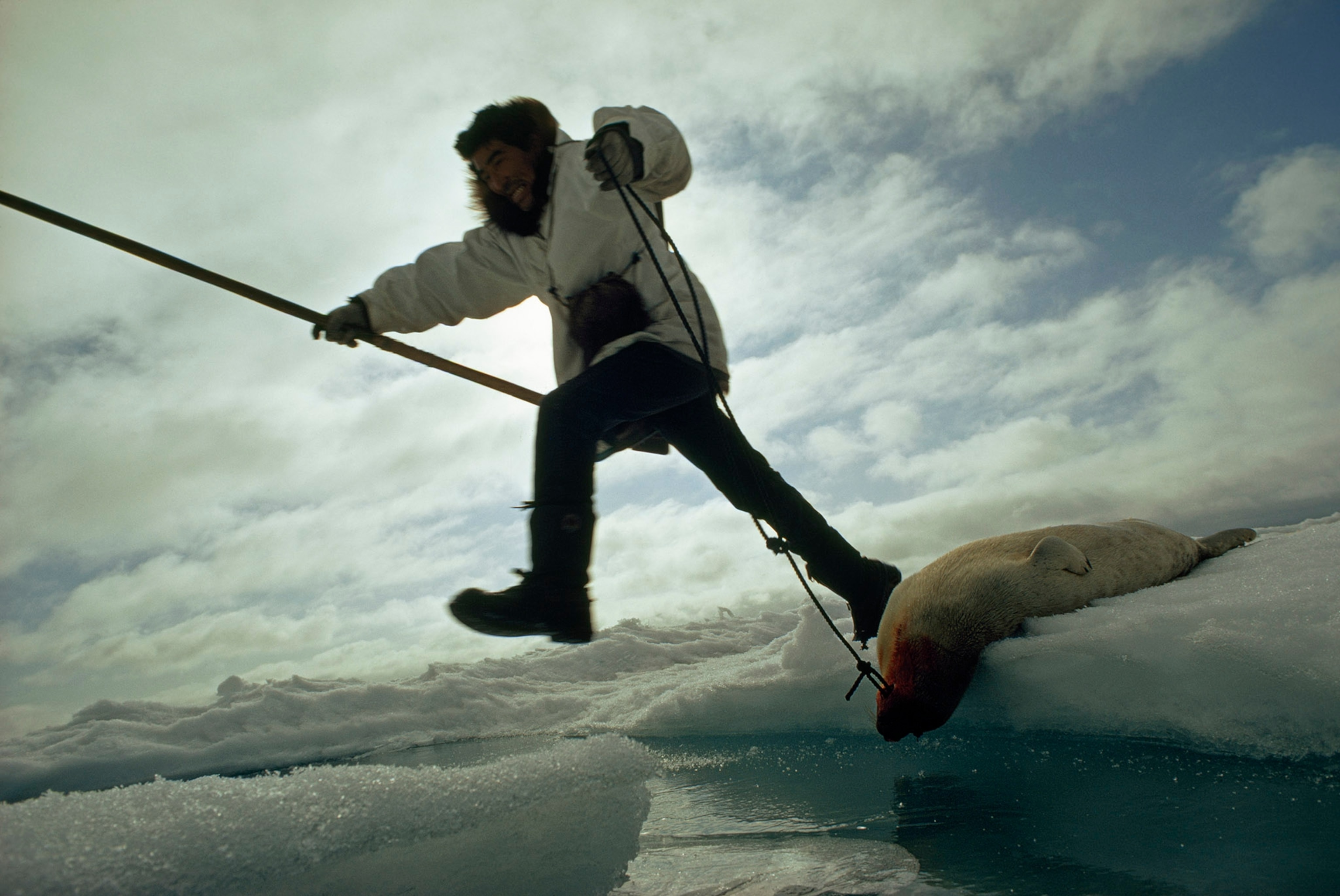 an eskimo hunter jumping with his catch