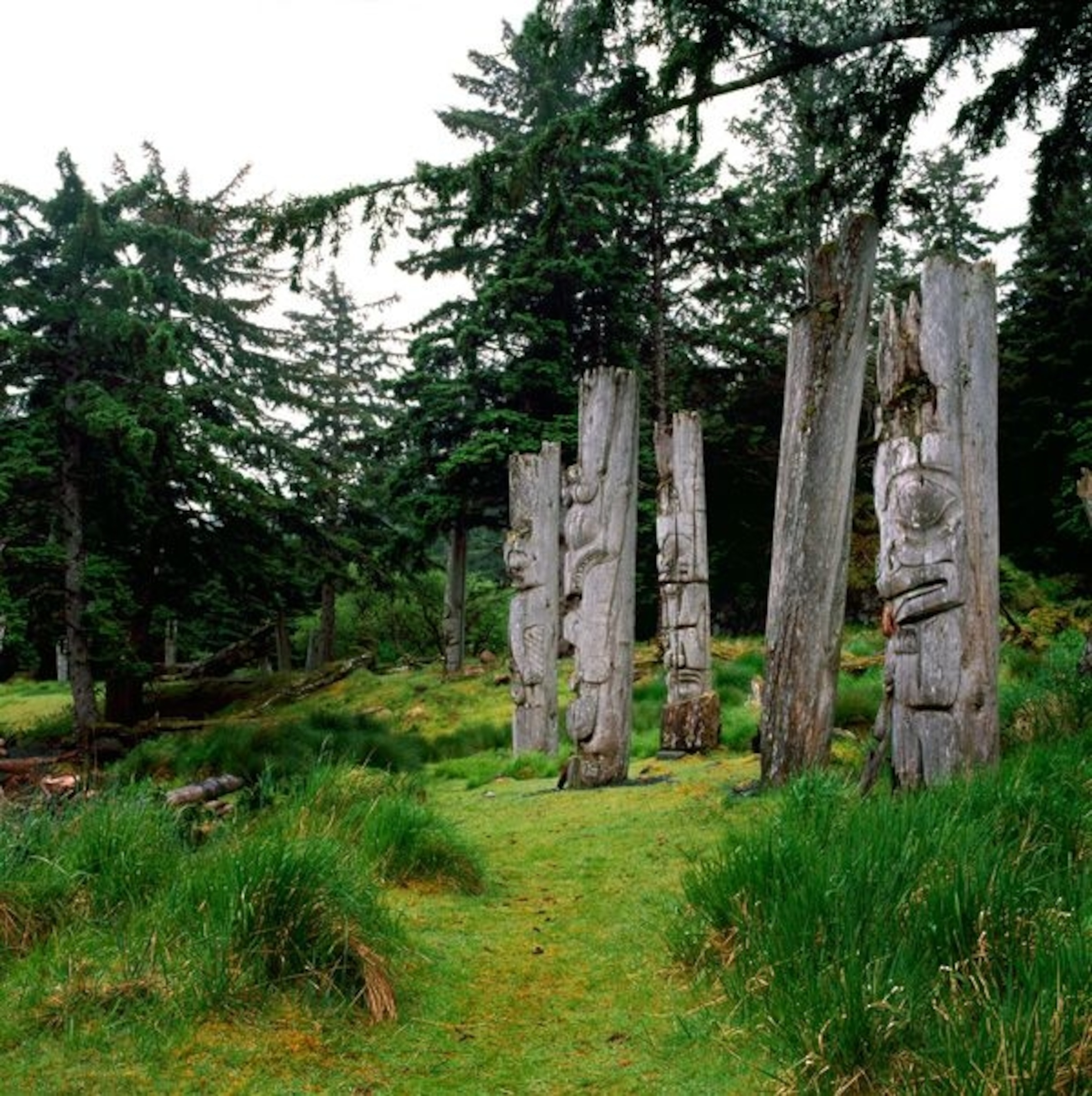 historic Haida poles