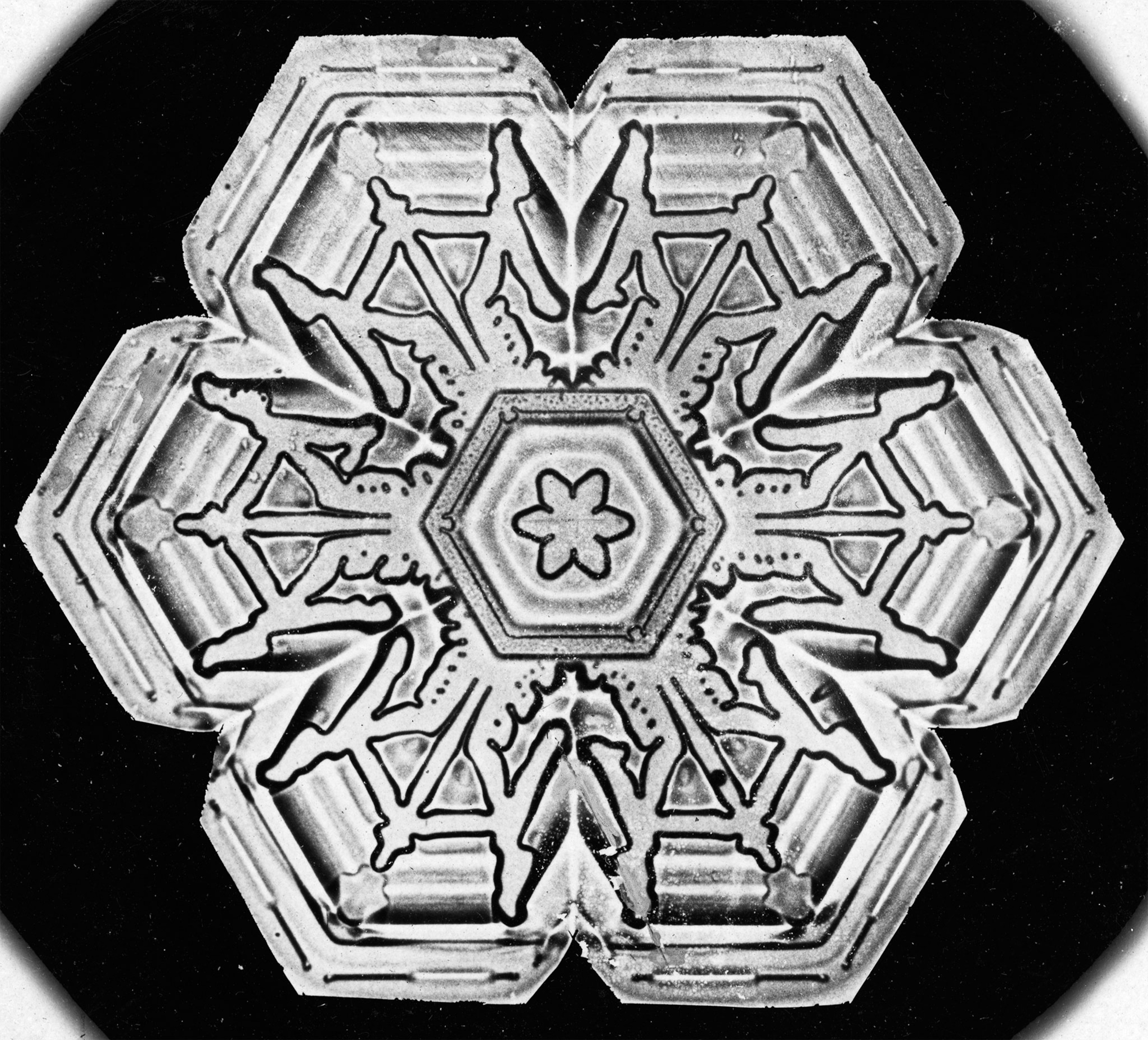 closeup of snowflake