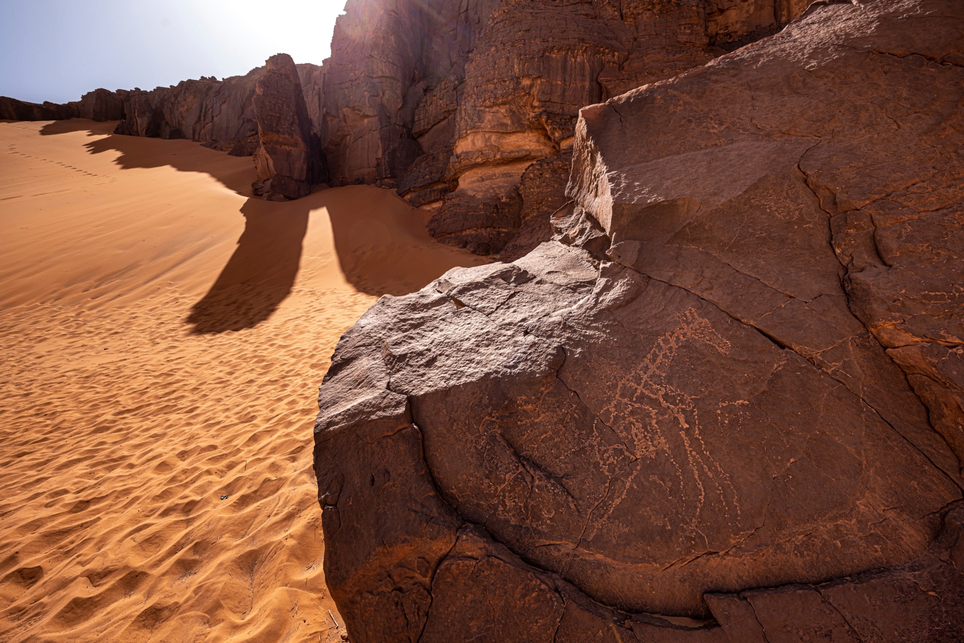 Algeria rock art