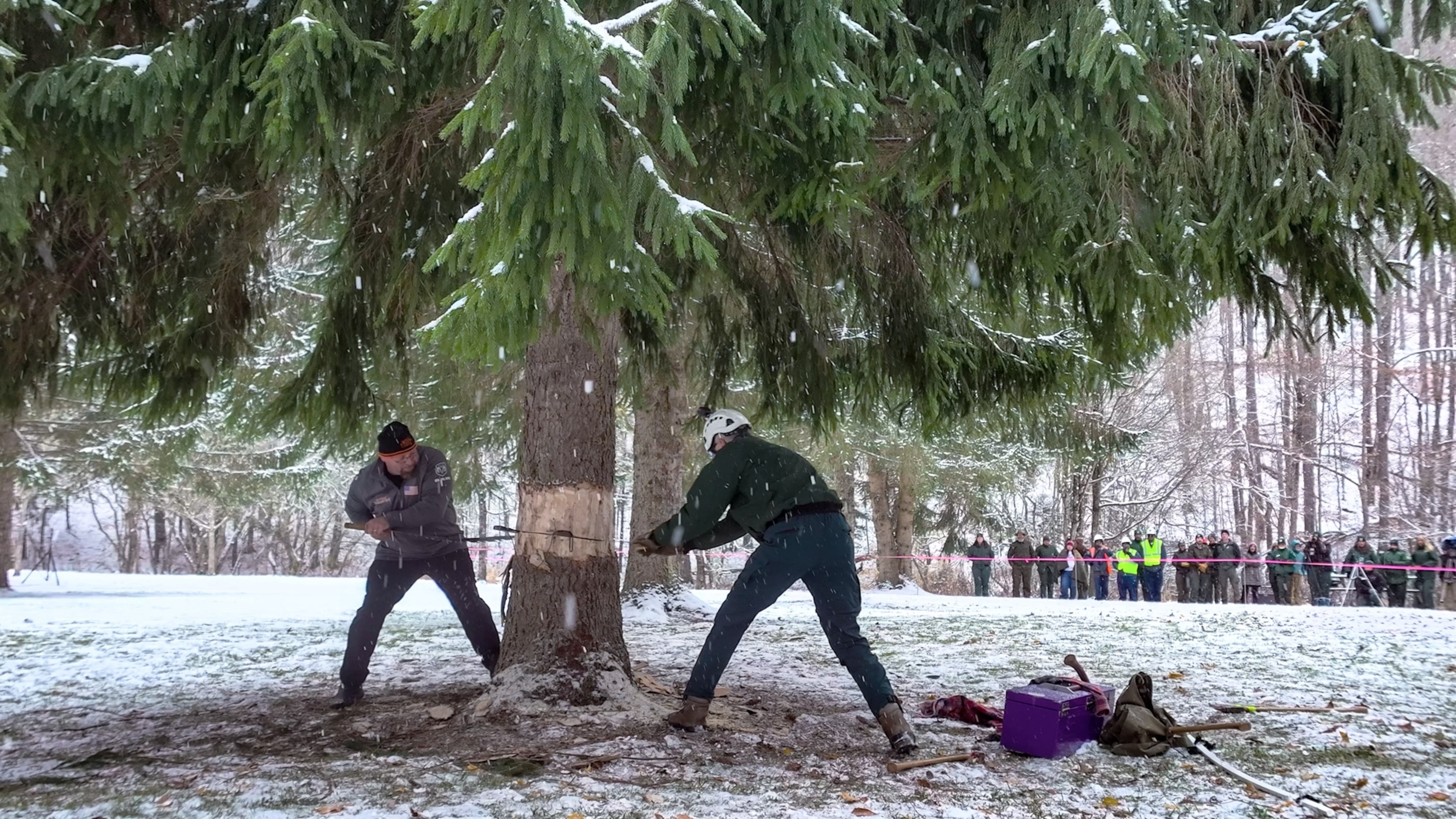 Two men are bundled in winter clothing as they saw a tree.