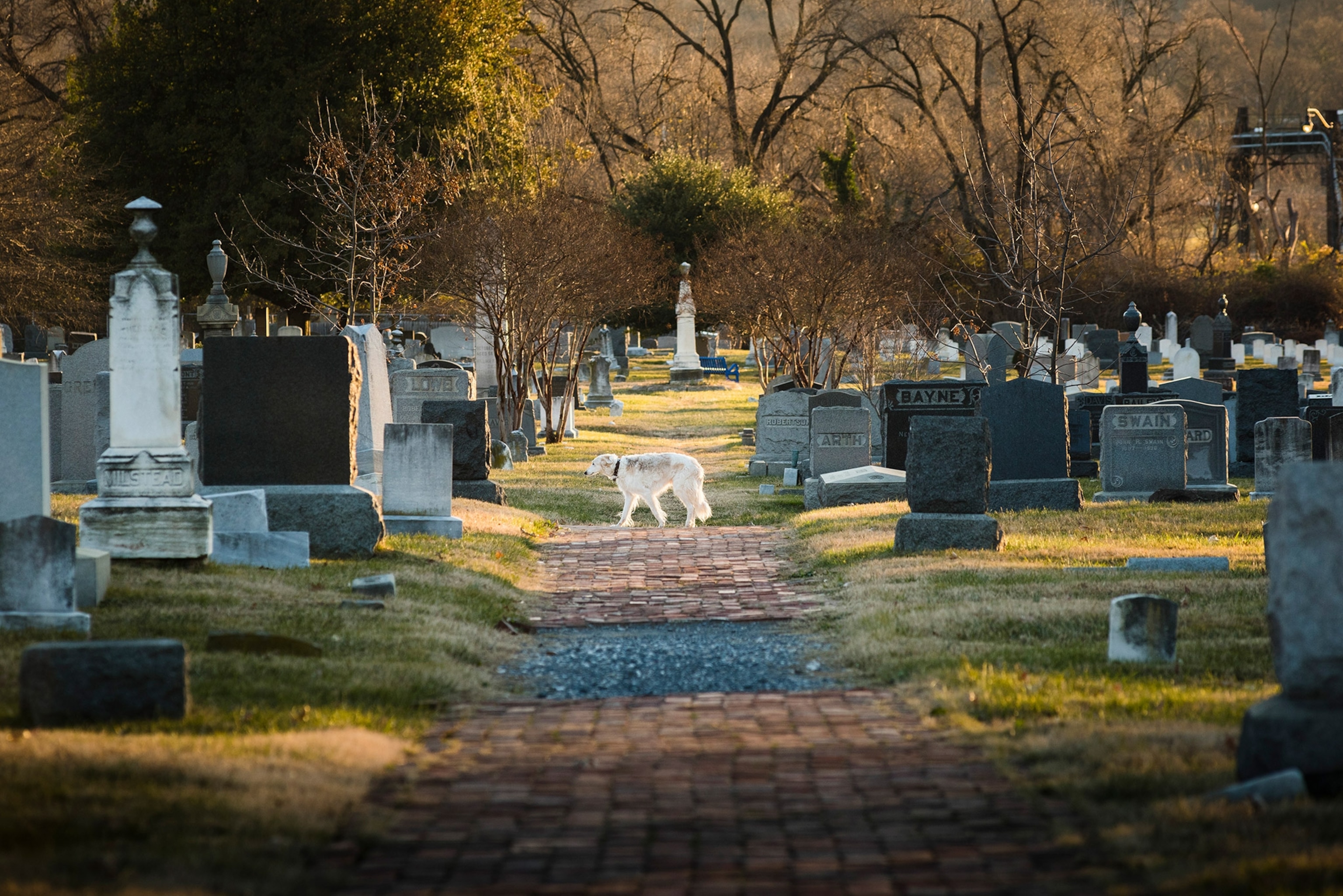 The Historic Congressional Cemetery in Washington
