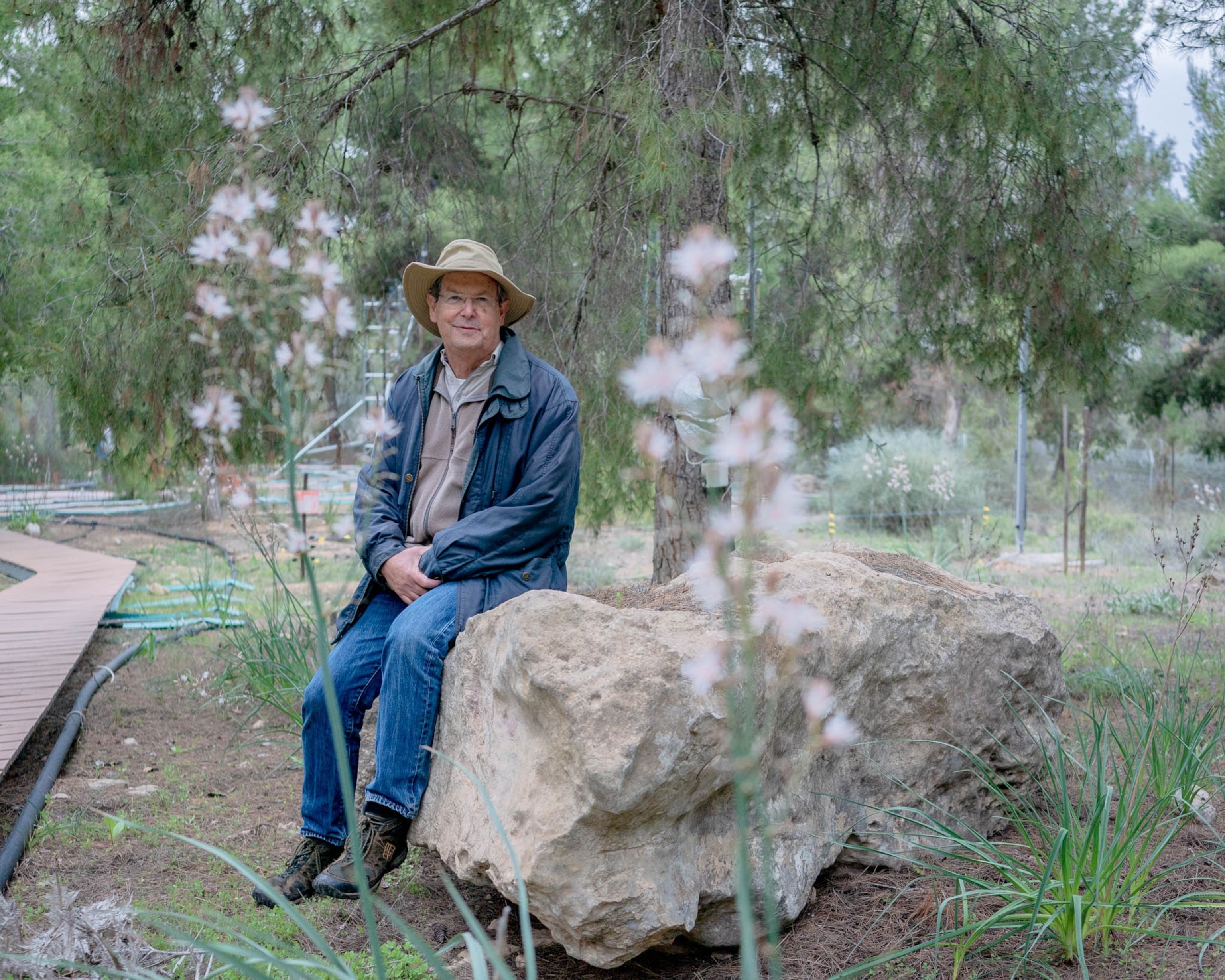 a man poses on a rock in a forest