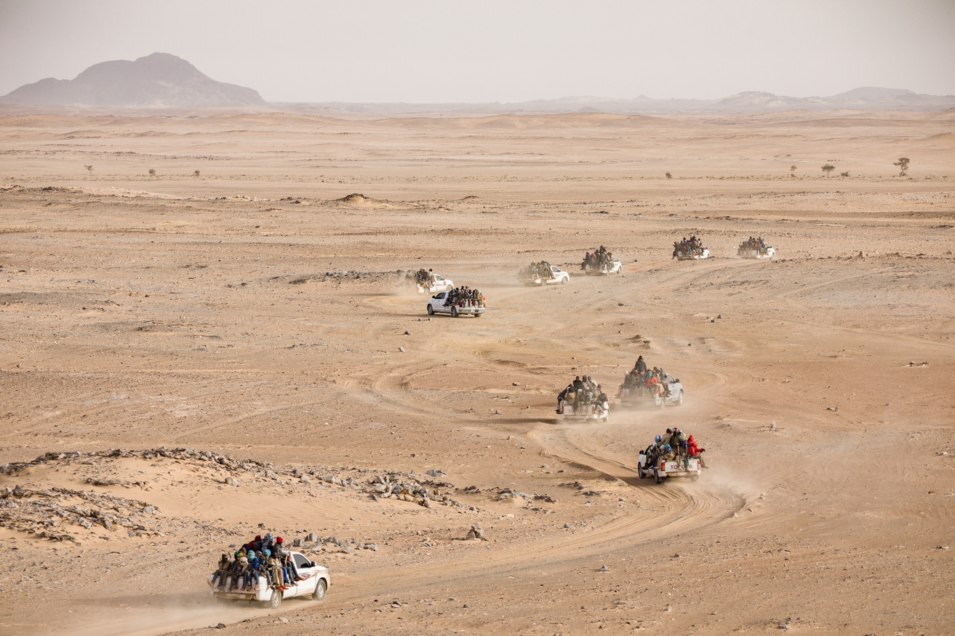 nine white pickup trucks, each carrying young men riding into the desert