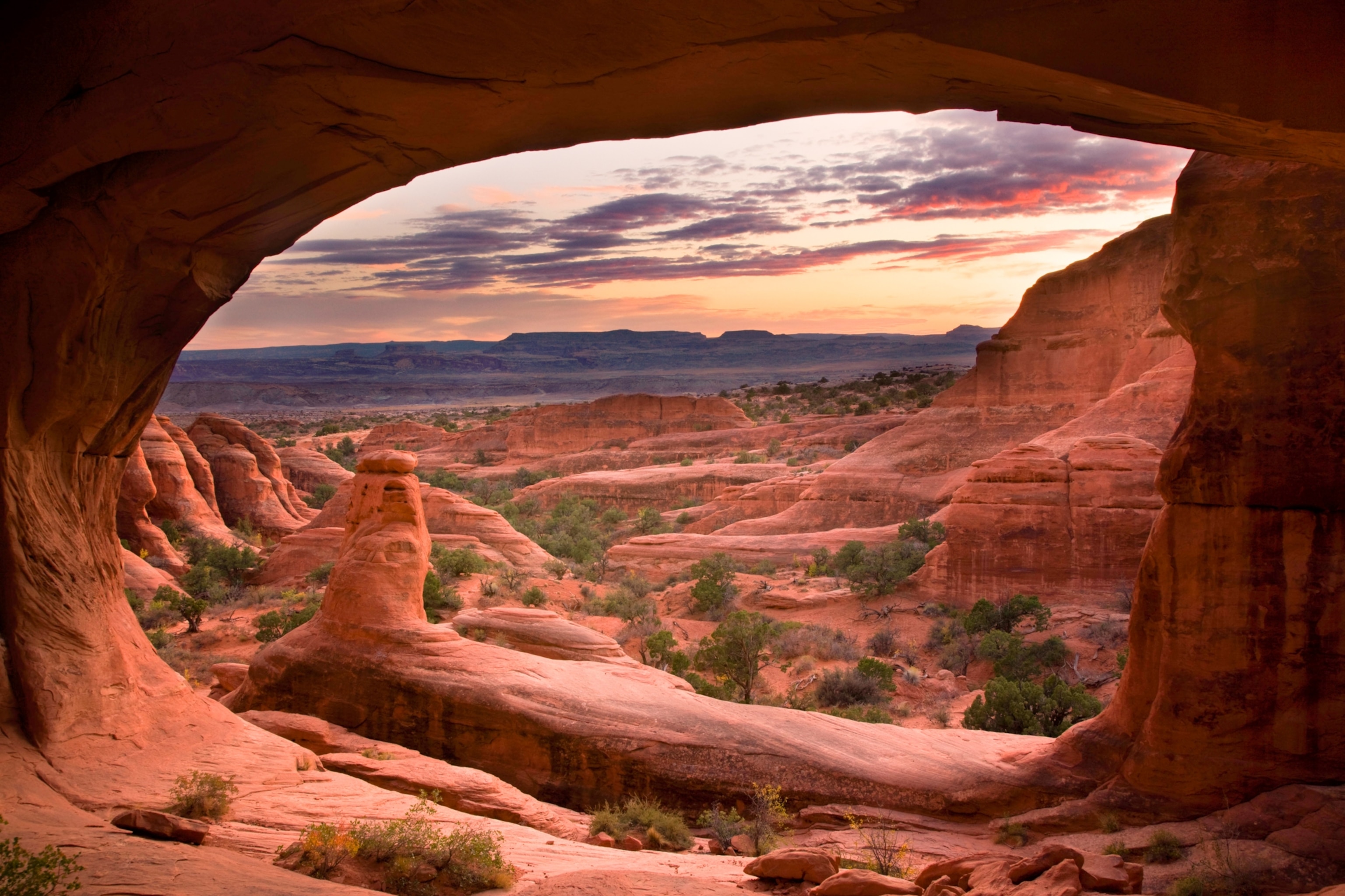 Picture of red hills of sandstone with clumps of green trees at sunset.