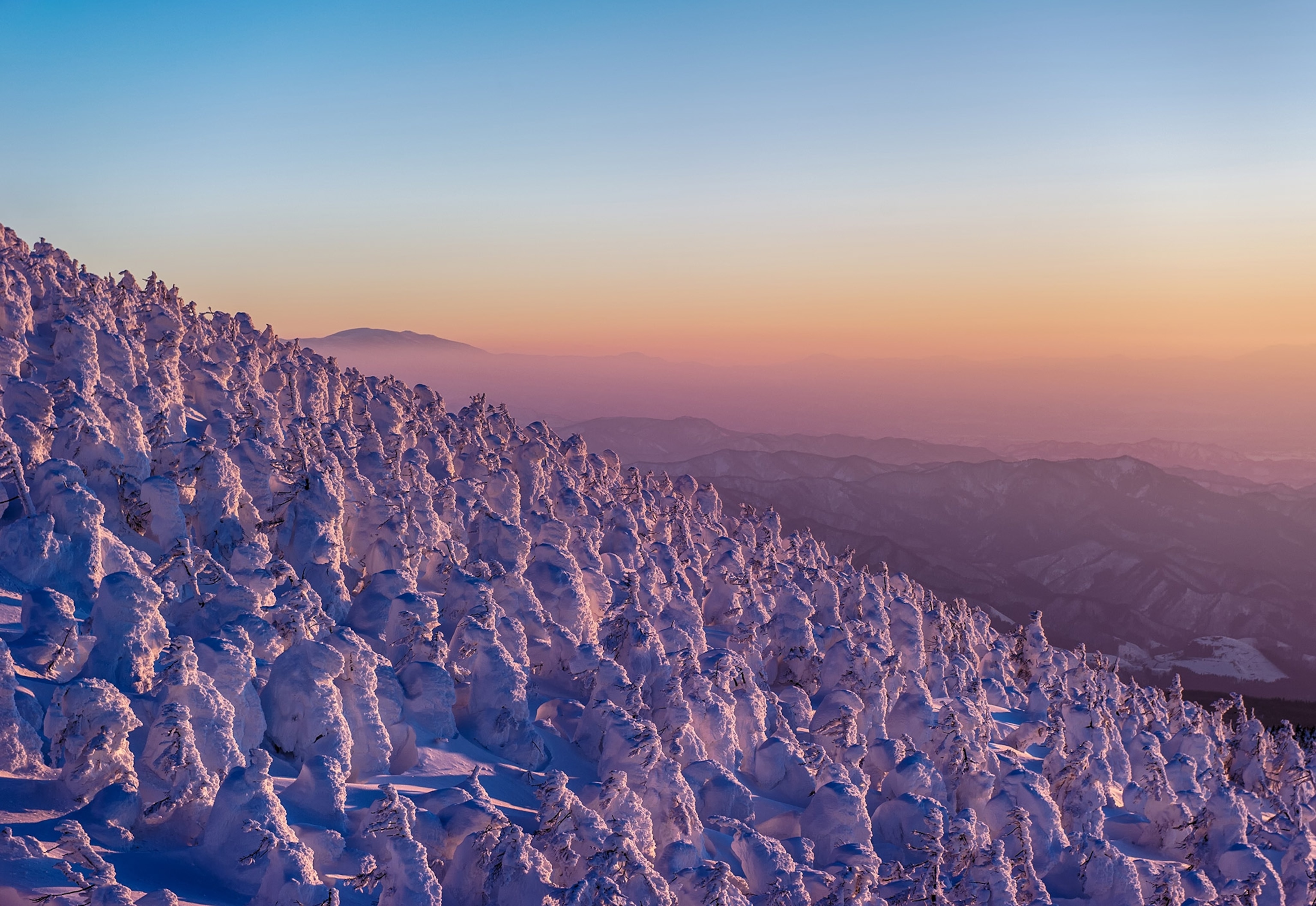 snowy trees on Mt. Yamagata, Japan