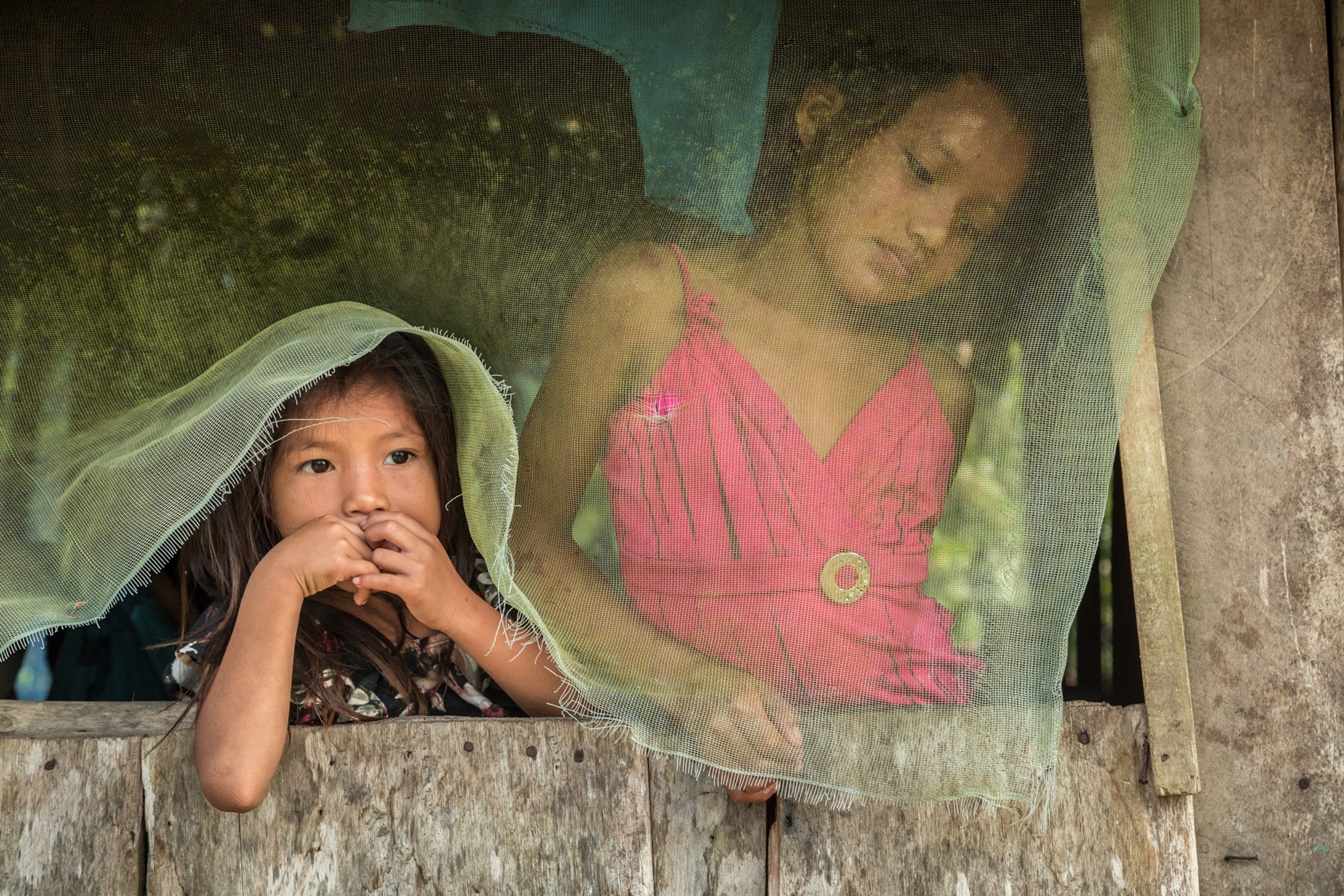 two young girls behind a green mosquito net looking out of a window