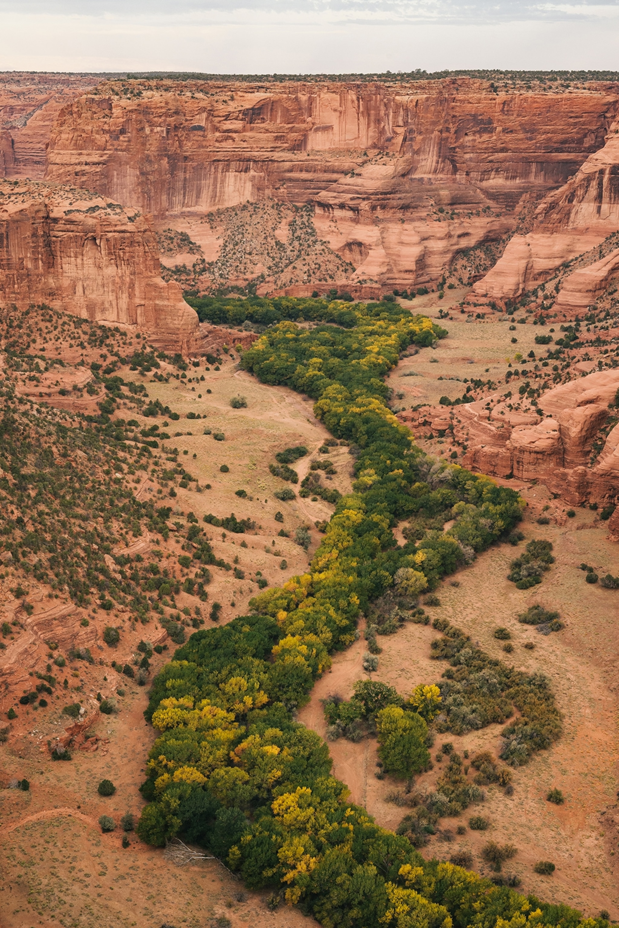 A look into a wide canyon valley with a river of green bushes running down the middle.