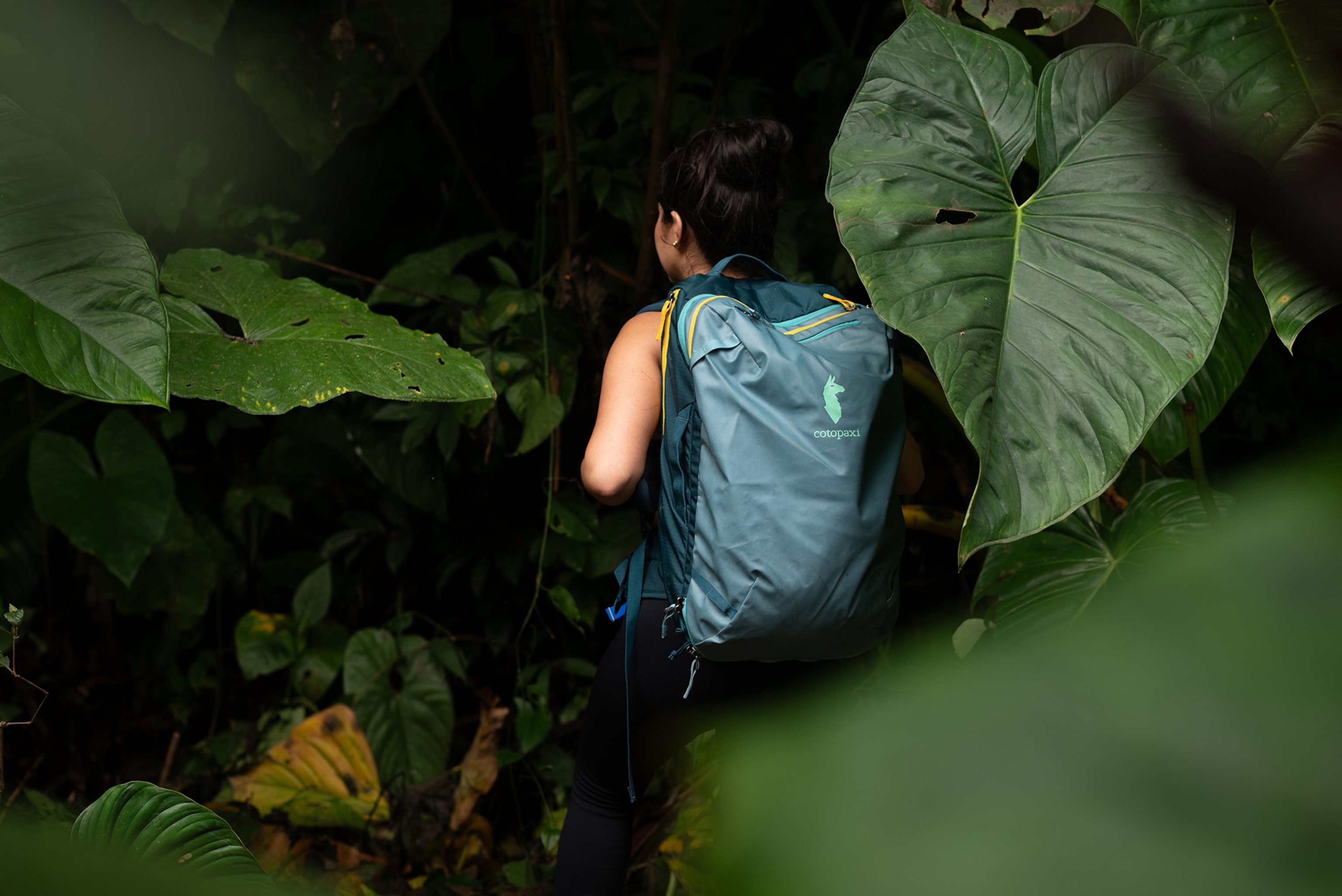 Journalist Austa Somvichian-Clausen treks through the Amazon Rainforest in Ecuador, carrying the Cotopaxi Allpa 28L Travel Pack.