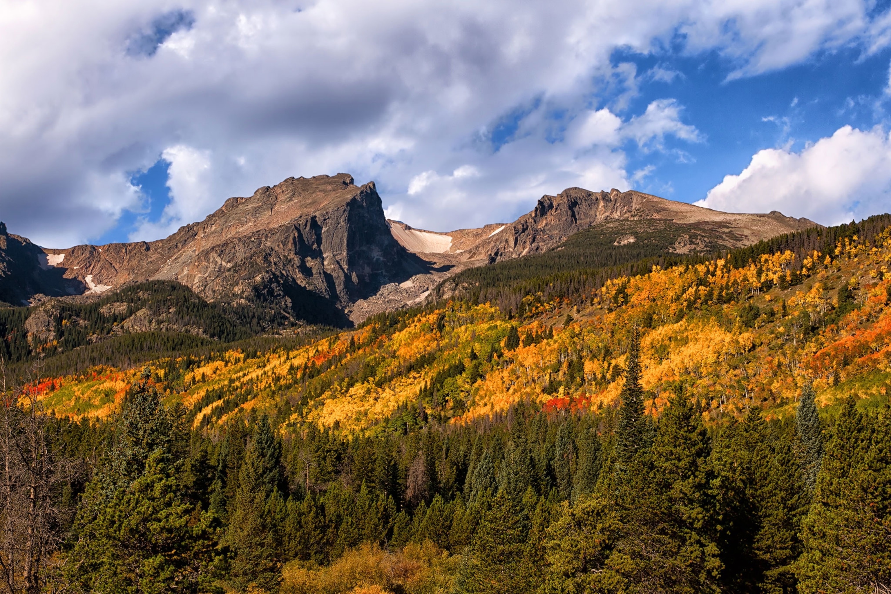 fall foliage in Rocky Mountain Park, Colorado