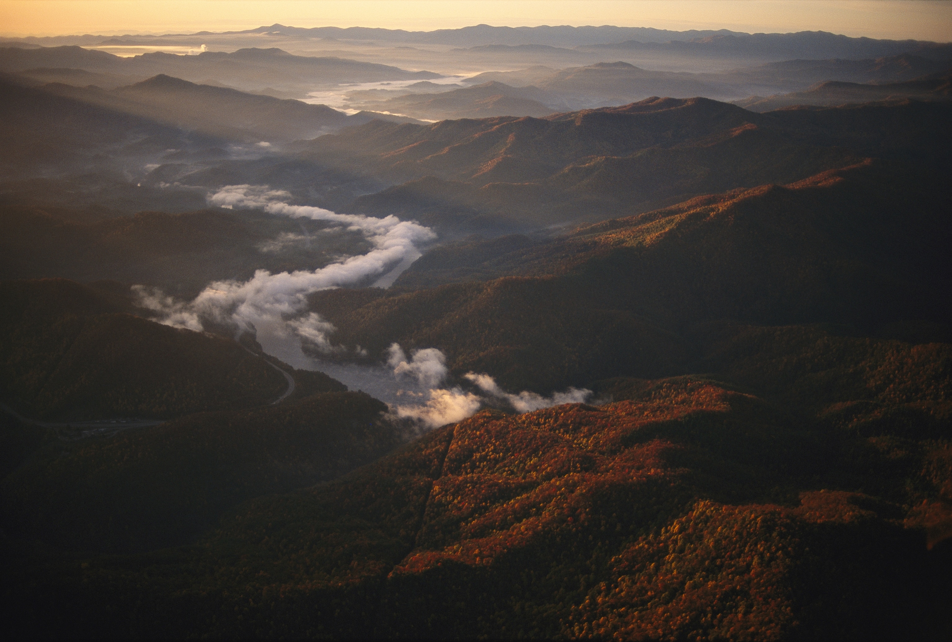 A misty morning in Great Smoky Mountains National Park in Tennessee