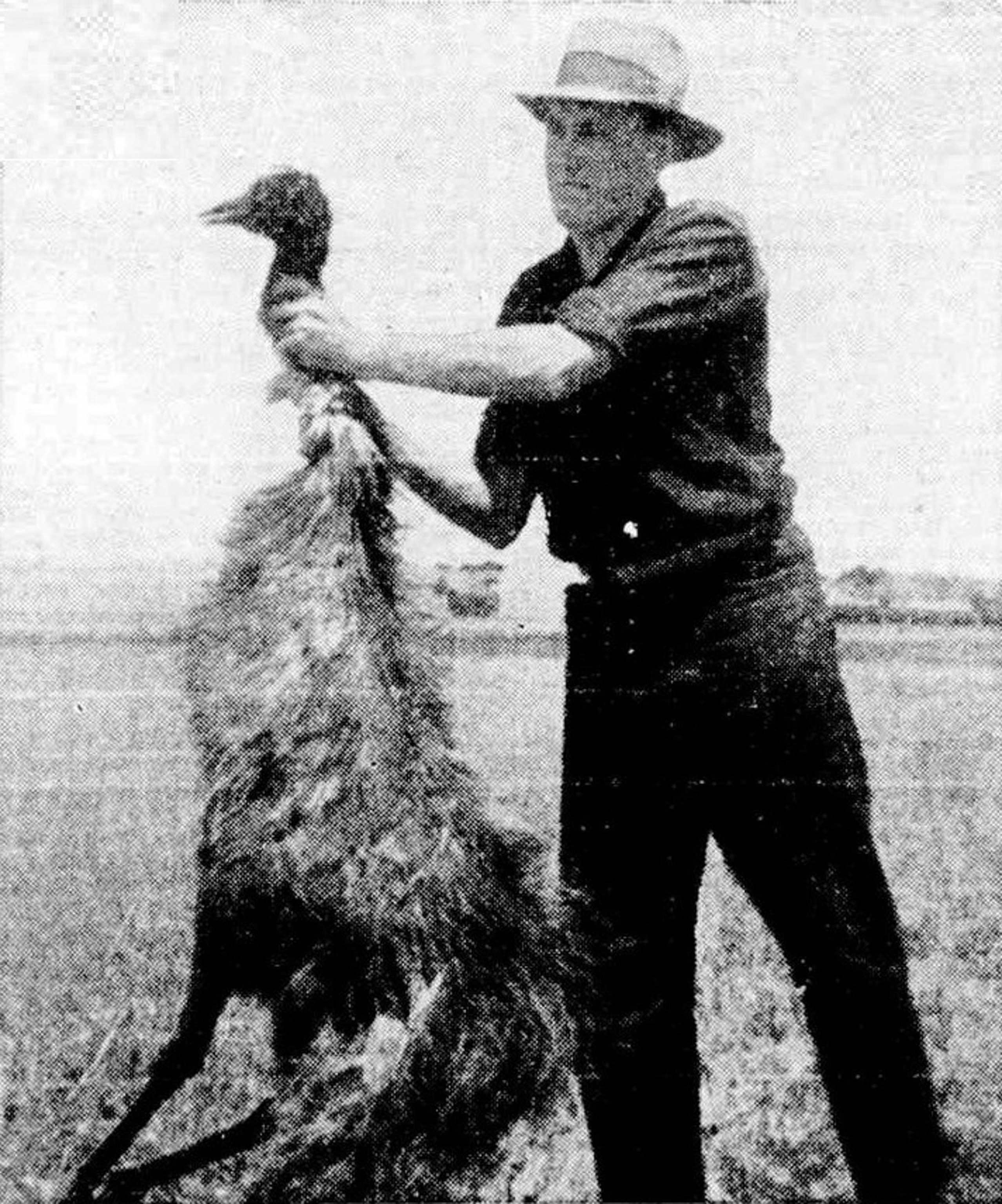 A black and white scan of a newspaper image of a man holding a dead emu.