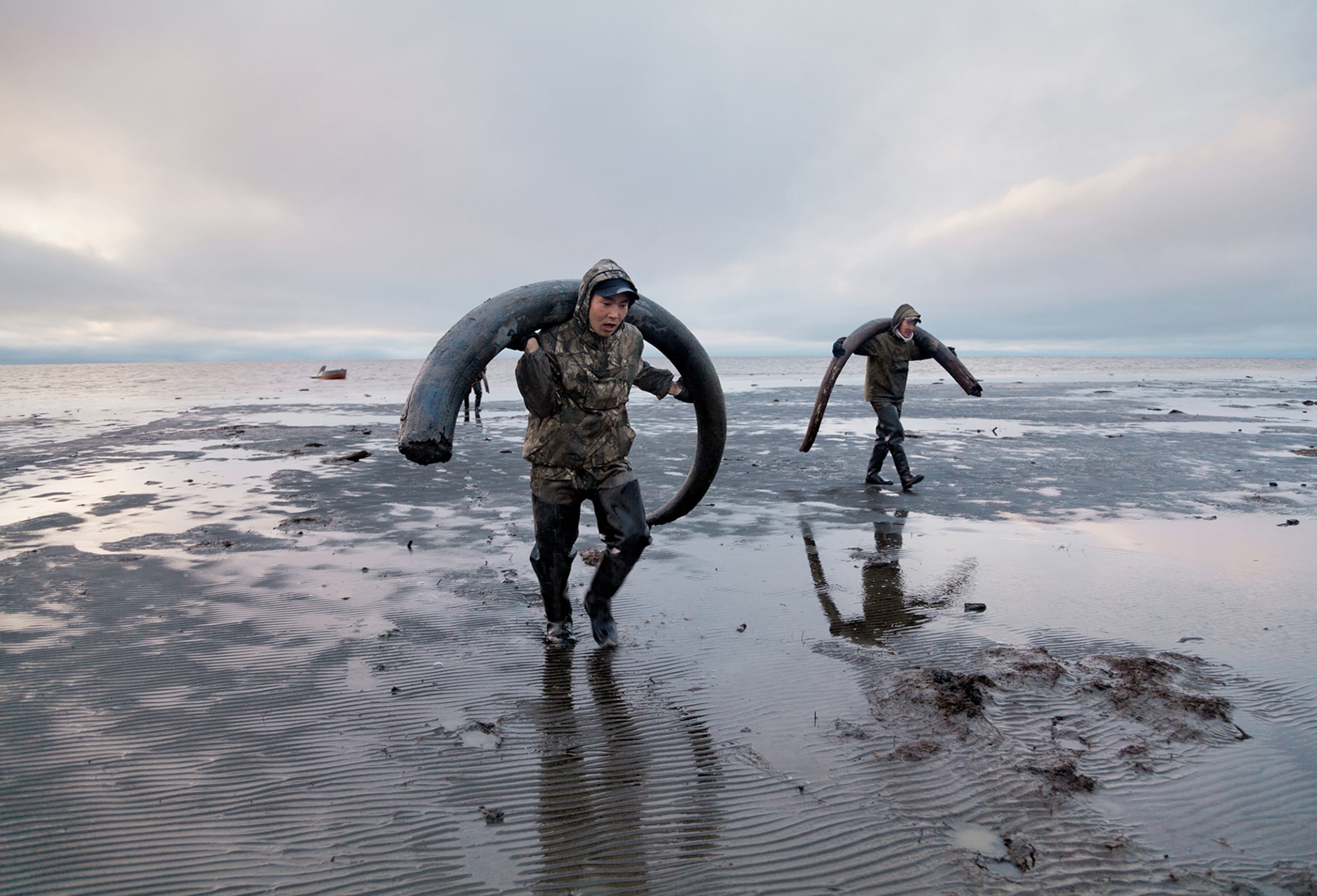 tusk hunters unloading mammoth tusks on Siberia's northern coast