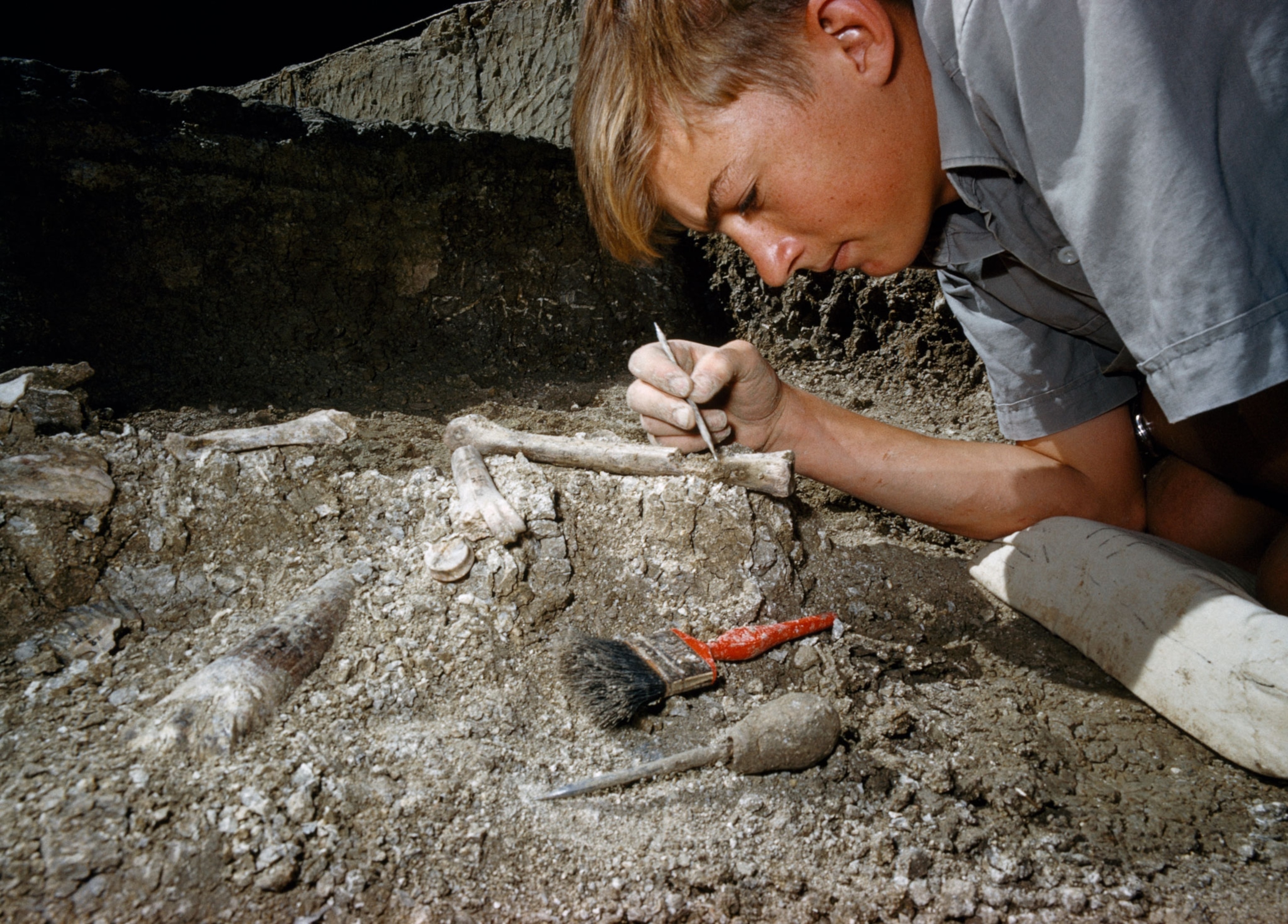 a young Richard Leakey digs up an animal bone