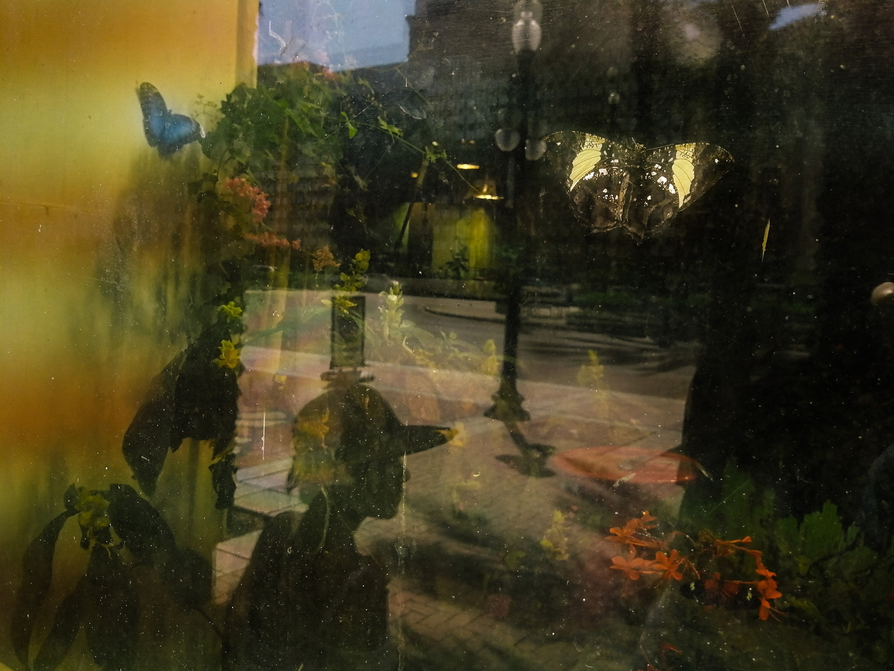 a reflection in a window in New Orleans, Louisiana
