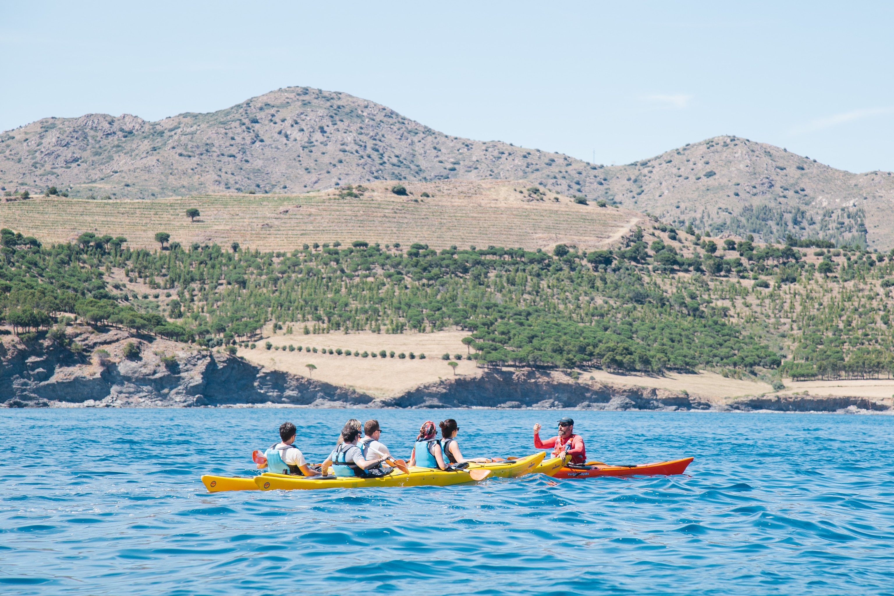 Kayakers passing vineyards