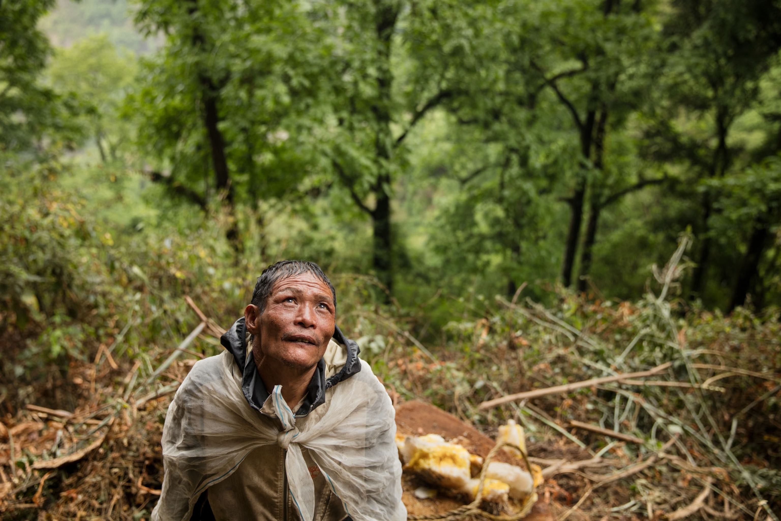 an elderly man in the forest wrapped in cloth looking up