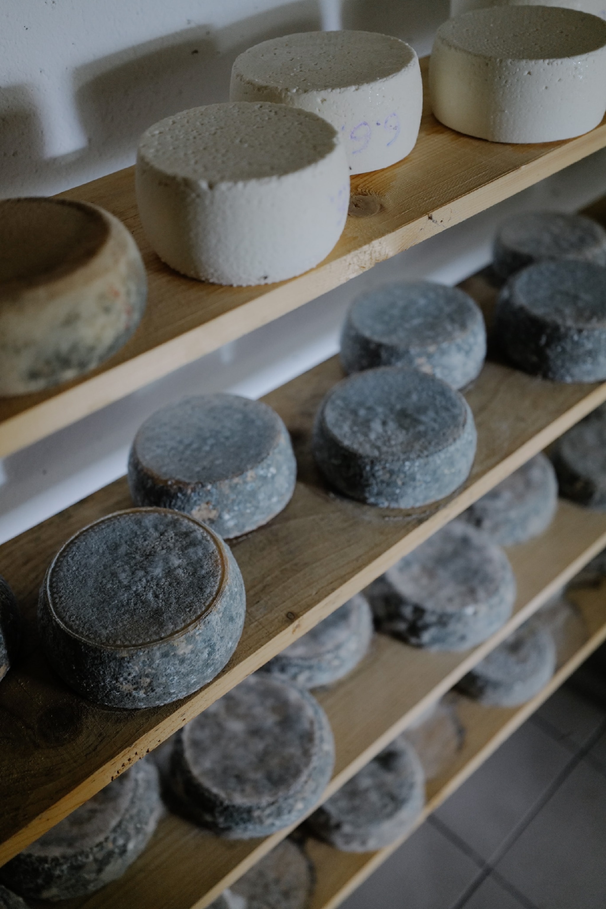 White and dark gray blocks of cheese aging on a wooden shelves