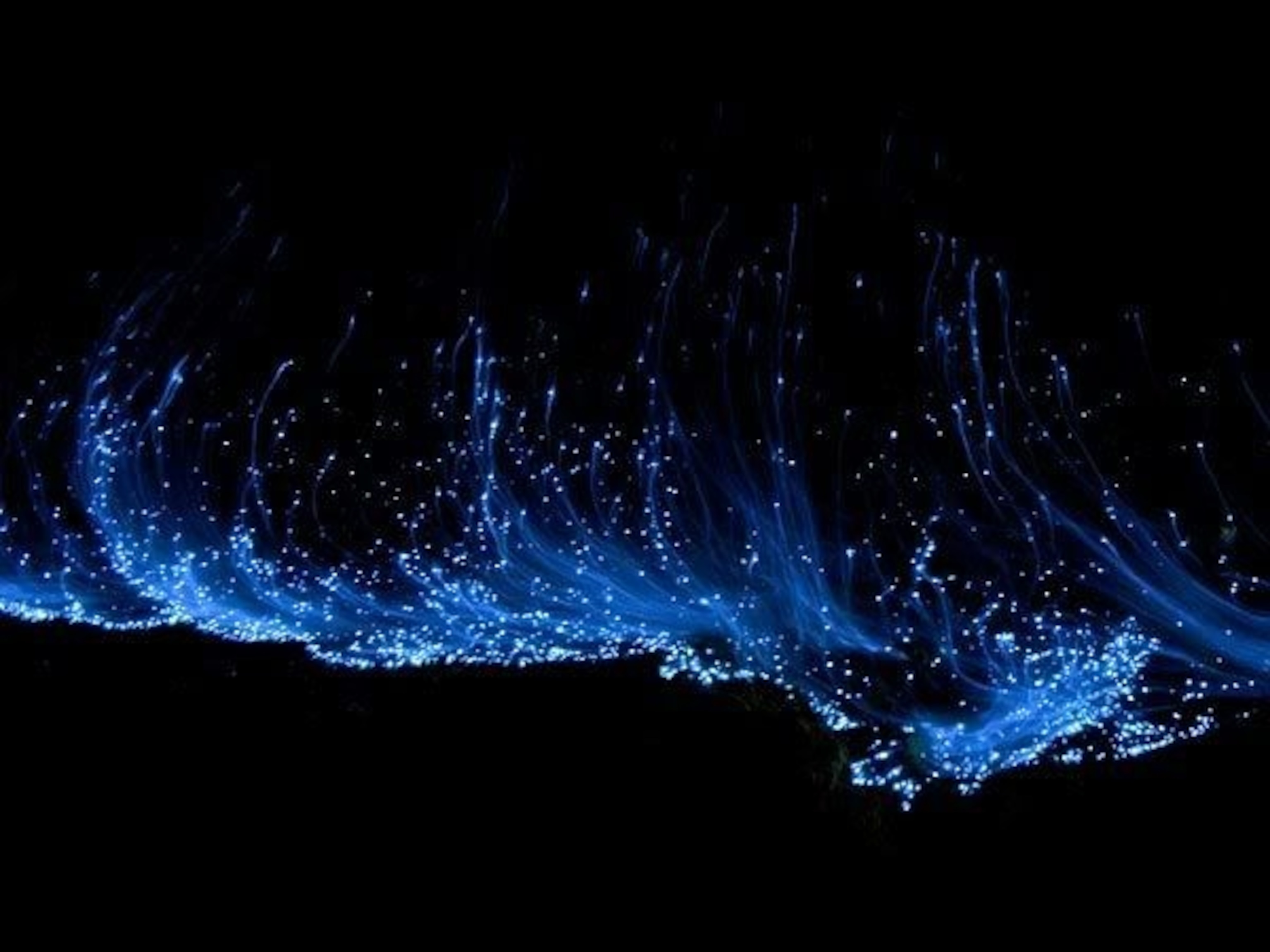 A general example of Bioluminescence