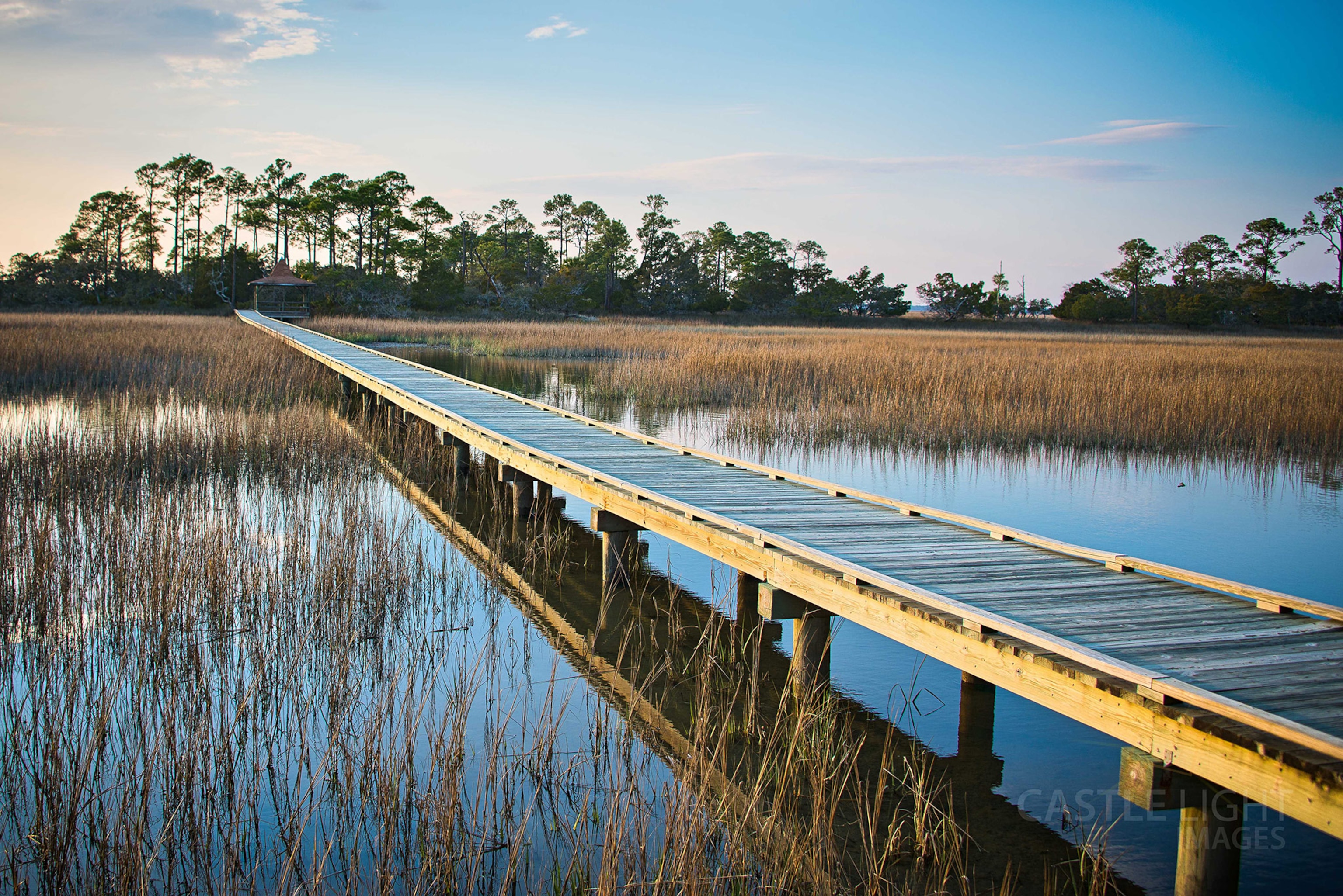 Hunting Island in South Carolina