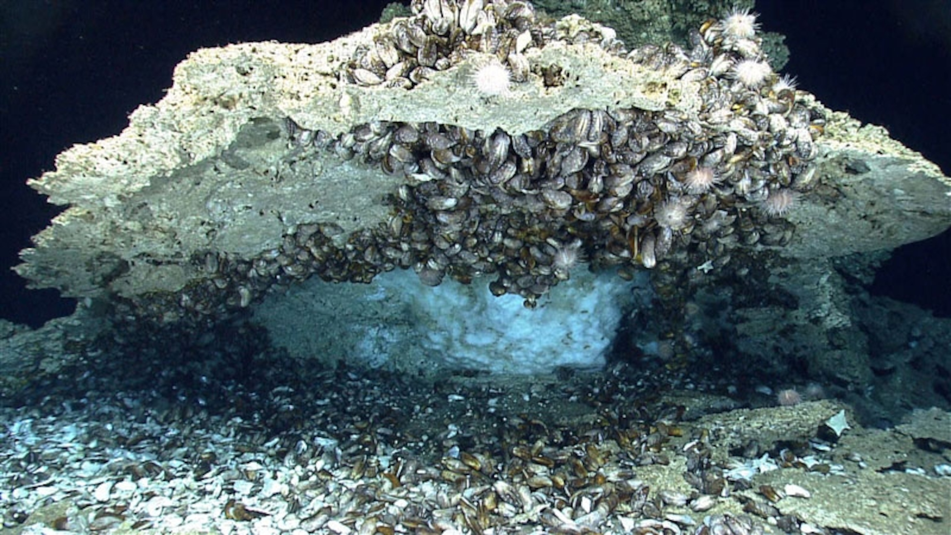 a methane hydrate