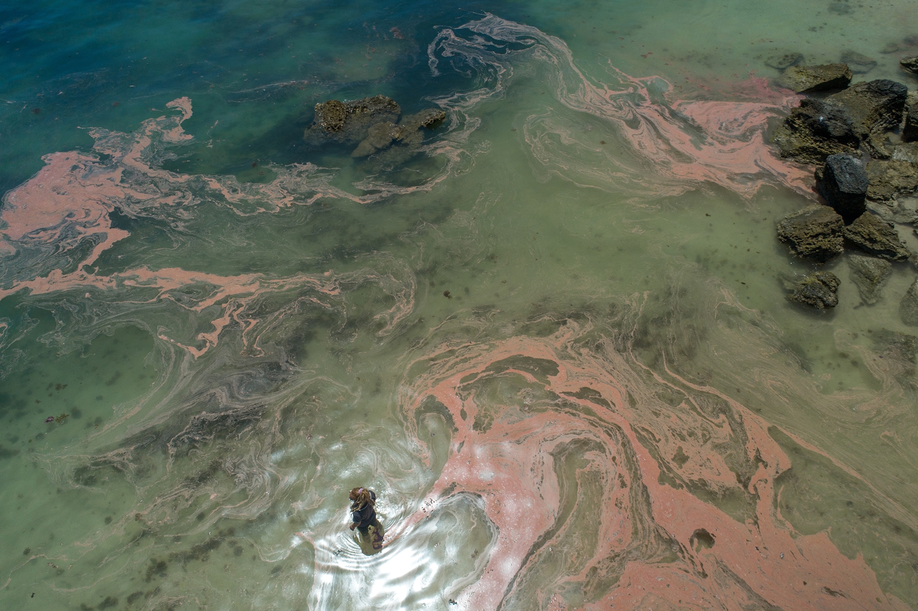 Aerial view of Caitlin Woods (Marine Park Officer & NGS project team member) investigating a coral spawn slick near Signal Point in the Lord Howe Island lagoon.