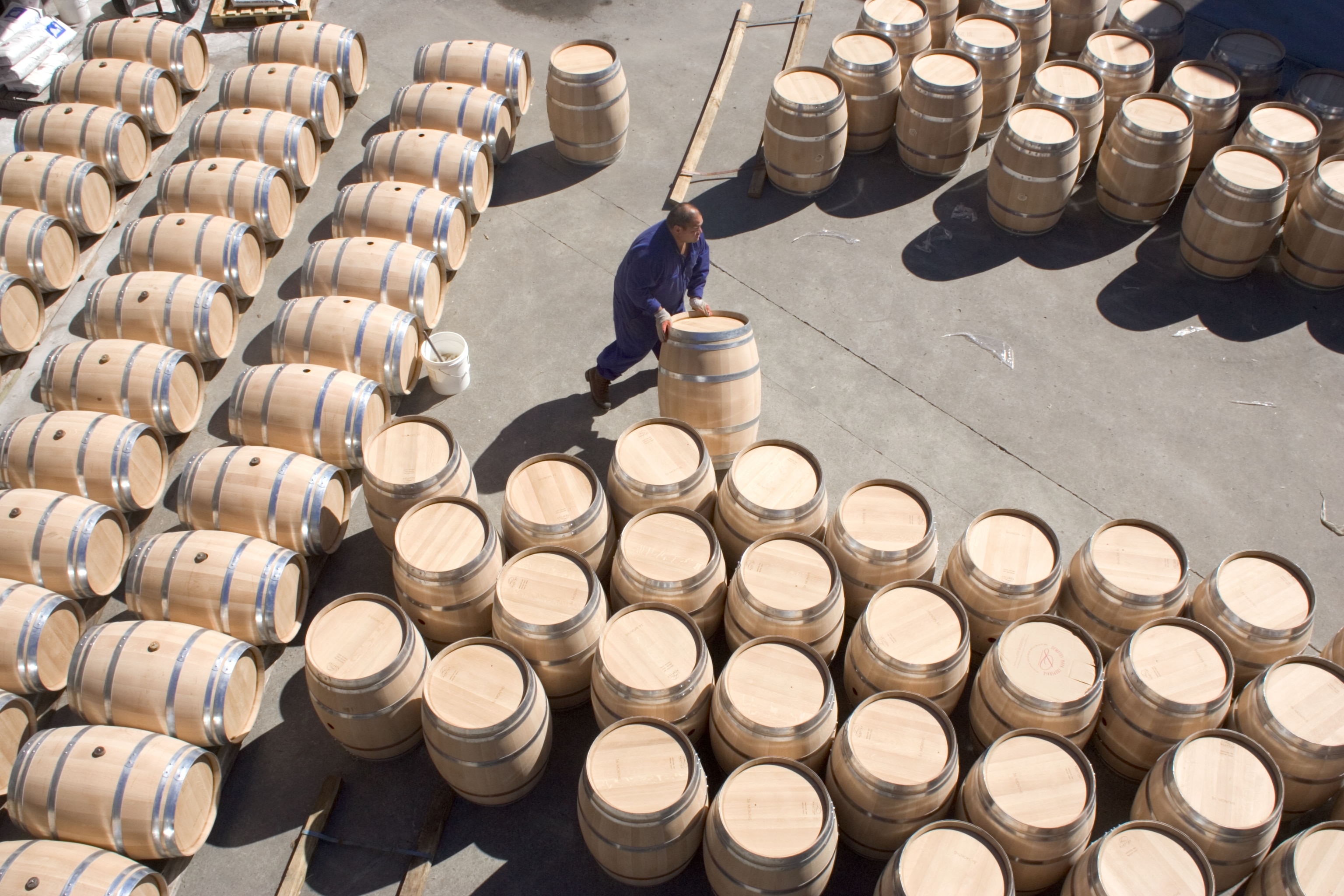man moving wine barrels, Gisborne, New Zealand.
