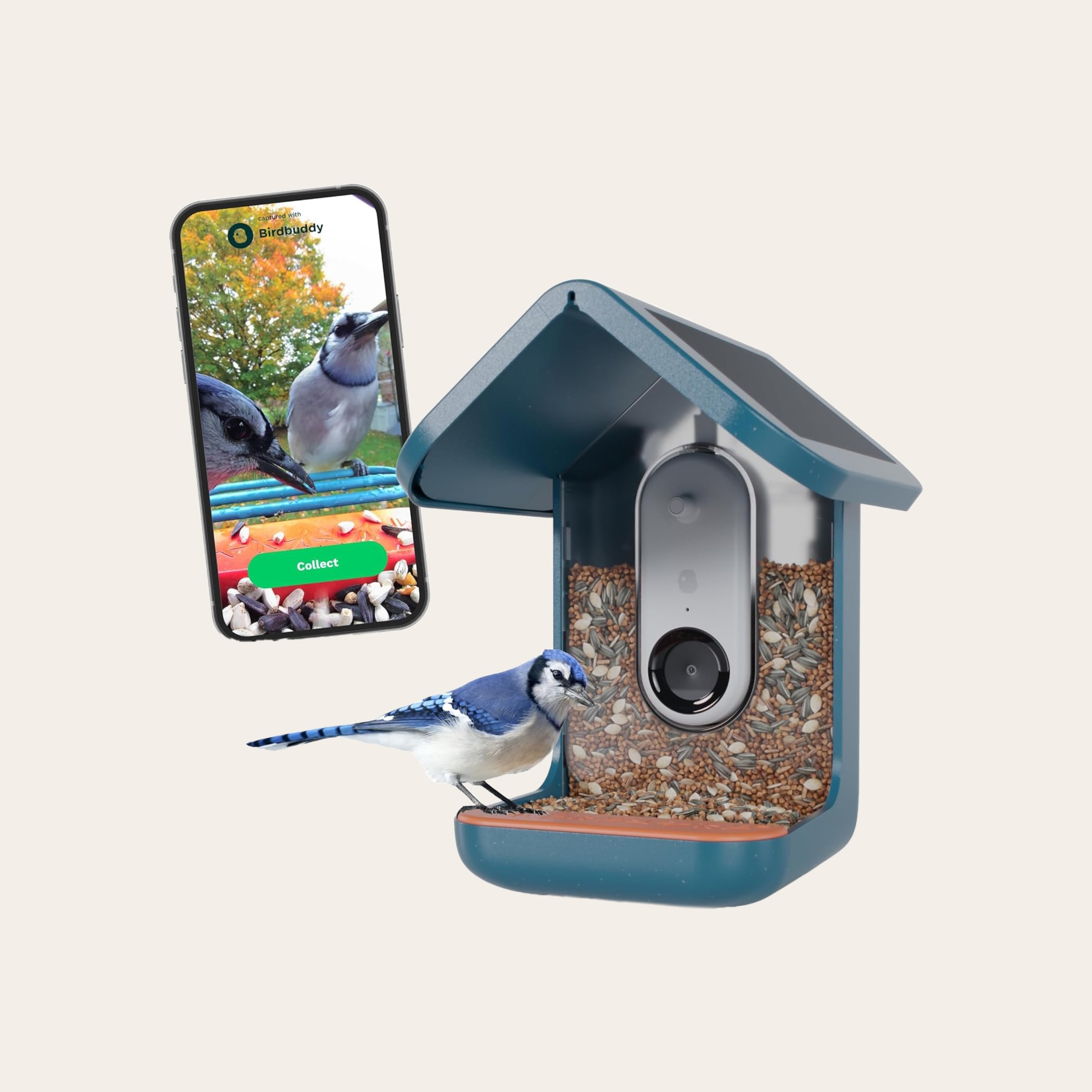 A bird on on a feeder with a camera imbedded into the blue birdhouse.