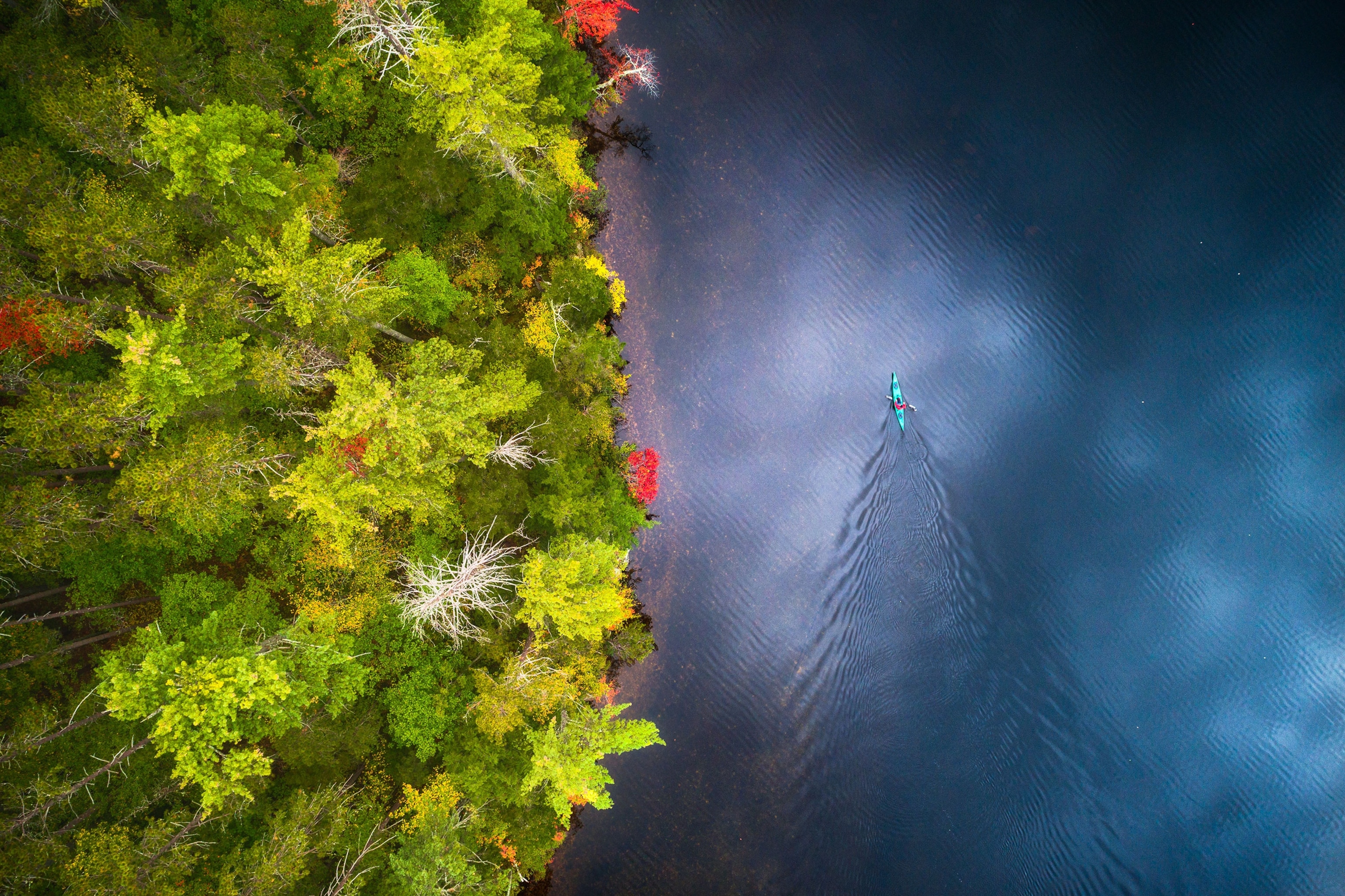 a kayaker enjoying the Autumn Colors in a lake in New Hampshire