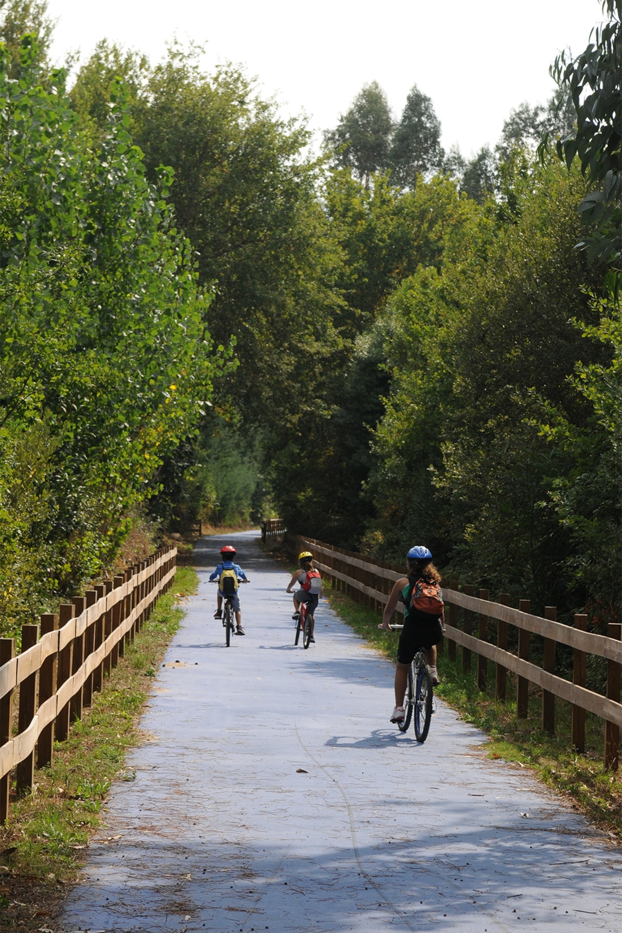 On the Ecopista do Dão, a former railway line.