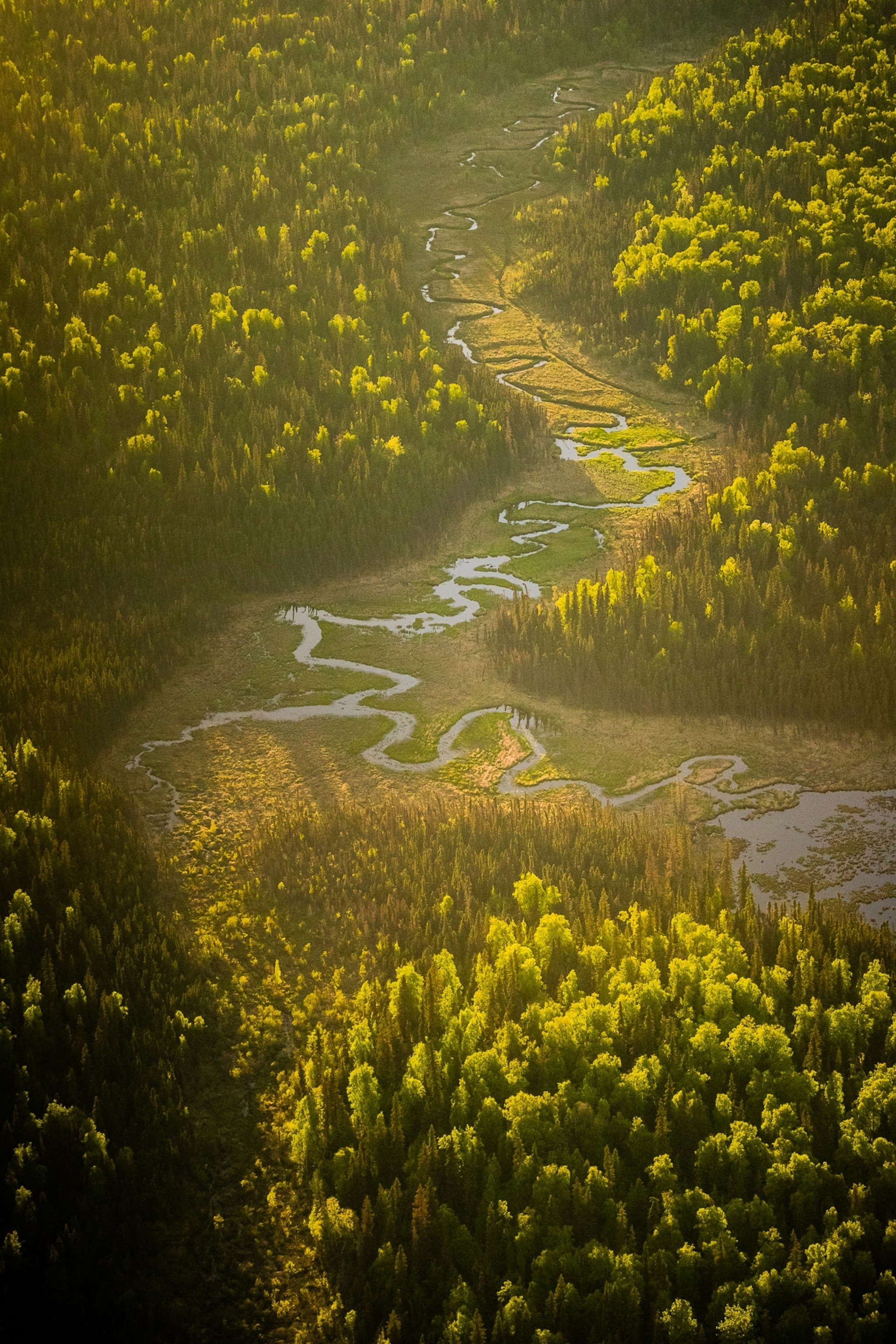 an aerial view of Alaska