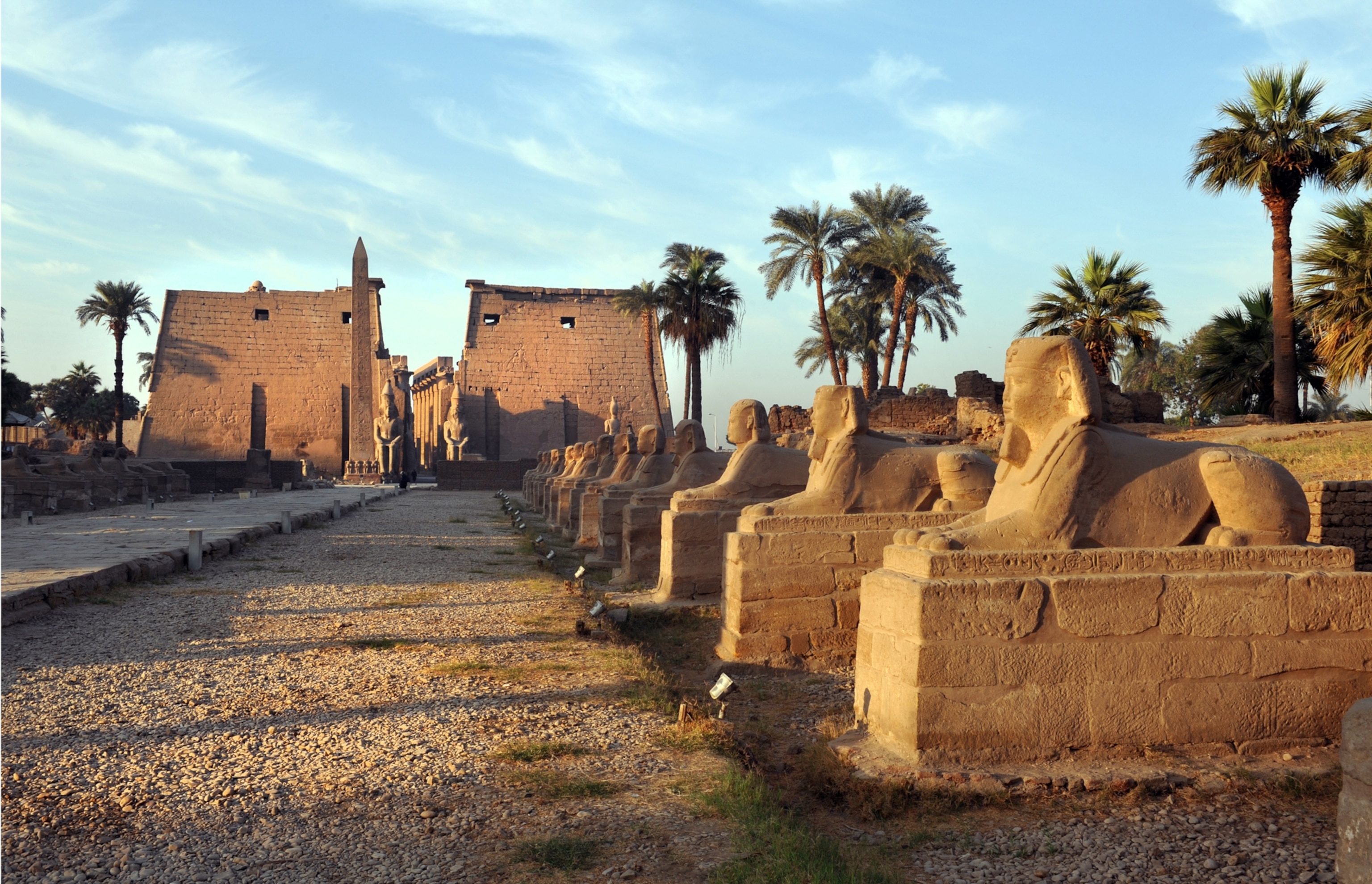 The golden light of dawn illuminates the Avenue of Ancient Egyptian Sphinxes at Luxor Temple